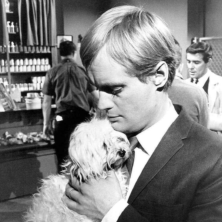 910x911 HD wallpaper: david mccallum, actor, musician, television, series, vintage