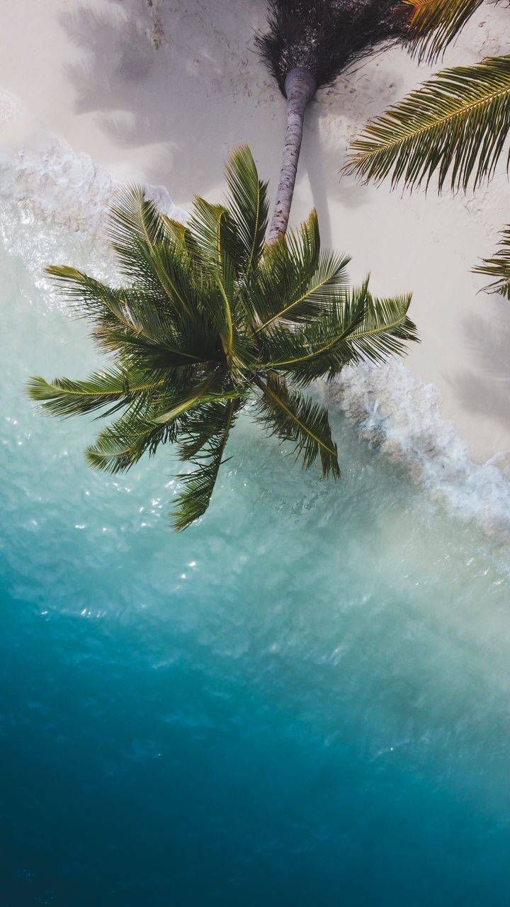 720x1280 iPhone 16 WallpaperK Wallpaper for Apple