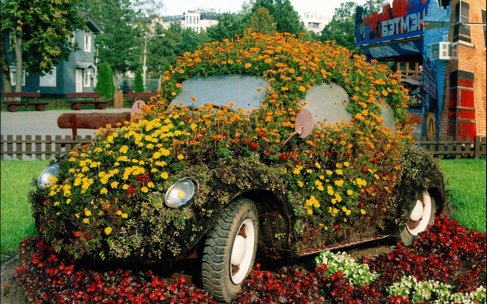 1920x1200 Flower Power Beetle HD desktop wallpaper : Widescreen : High