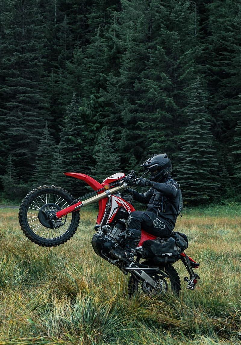800x1146 Crfhonda, whelee un honda crf whelee, honda, crf, motocross, HD phone wallpaper