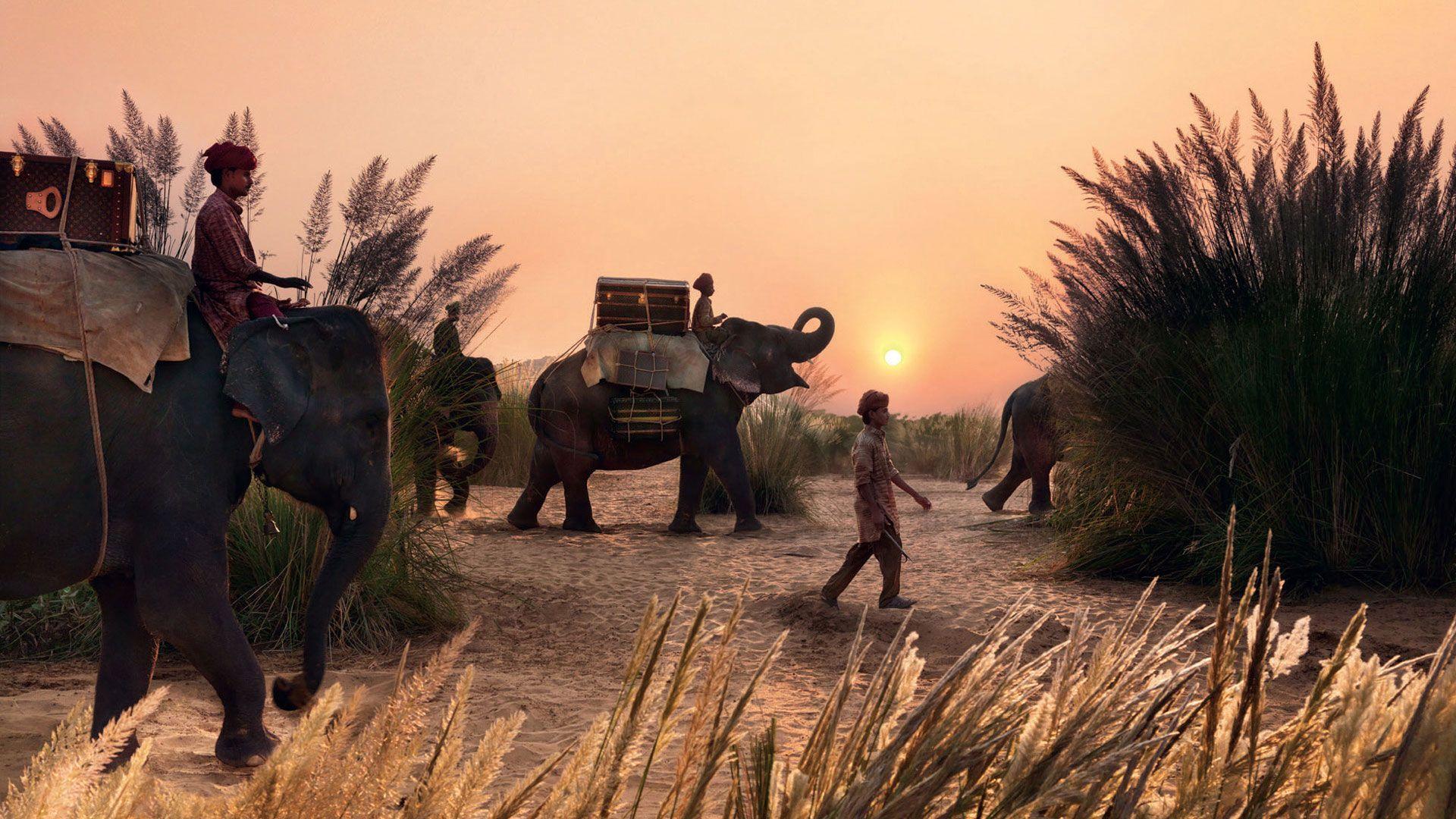 1920x1080 steve mccurry wallpaper Dream. Steve