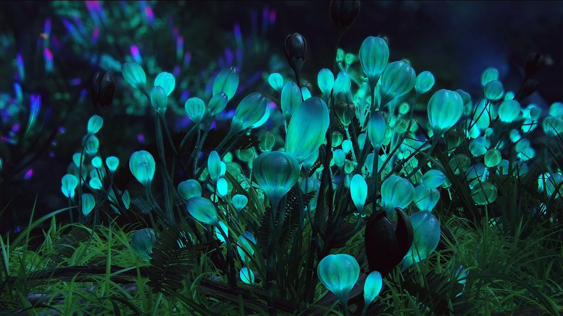 1920x1080 Astonishing Abstract Wallpaper Arena. Avatar movie