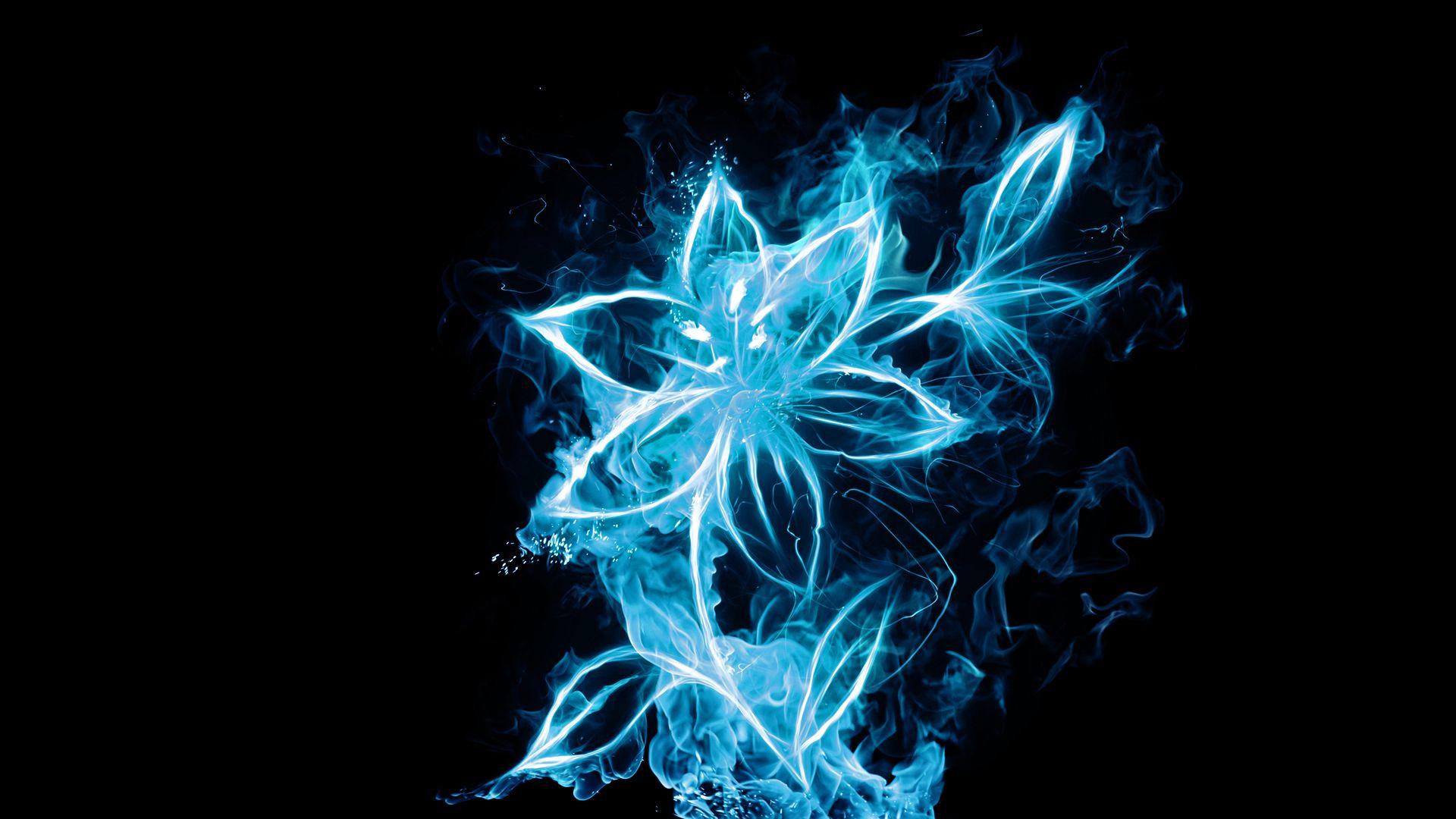 1920x1080 abstract, lights, flowers, plants, black background wallpaper
