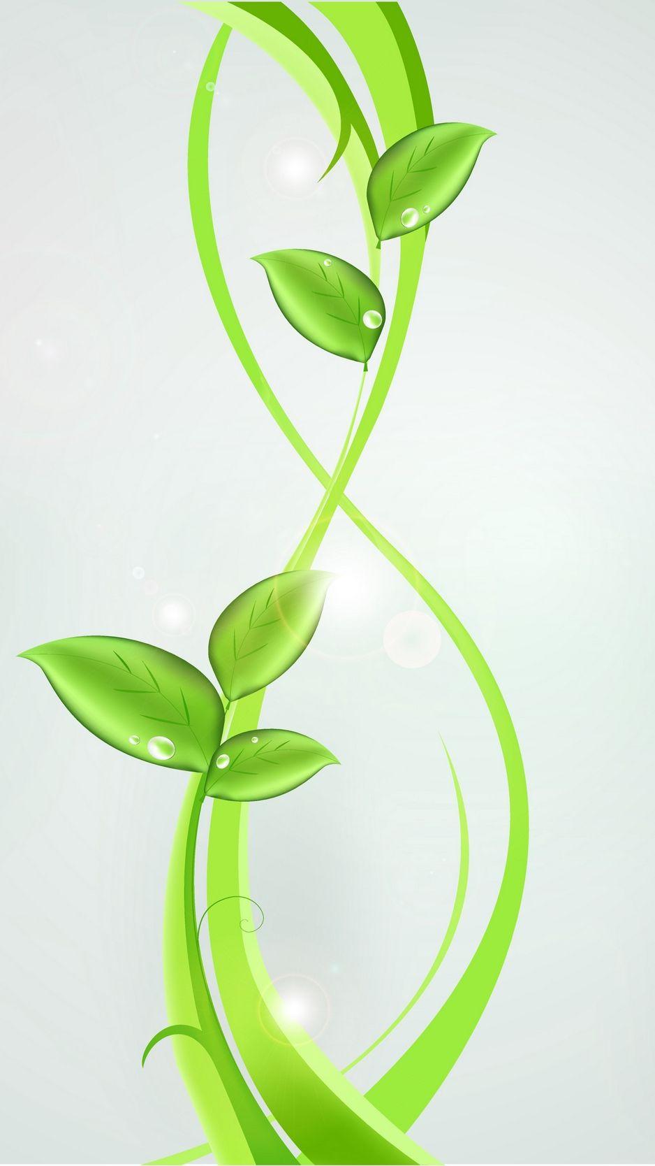 938x1668 Download wallpaper 938x1668 plants, green, abstract, leaves