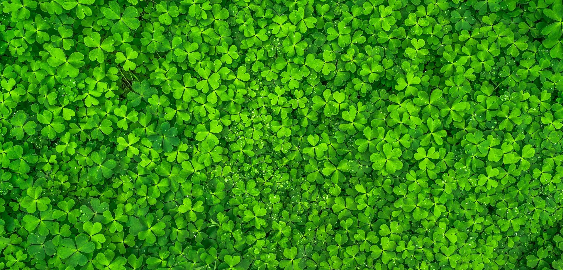1920x924 Green Plants Pattern Wallpaper. HD Wallpaper Download