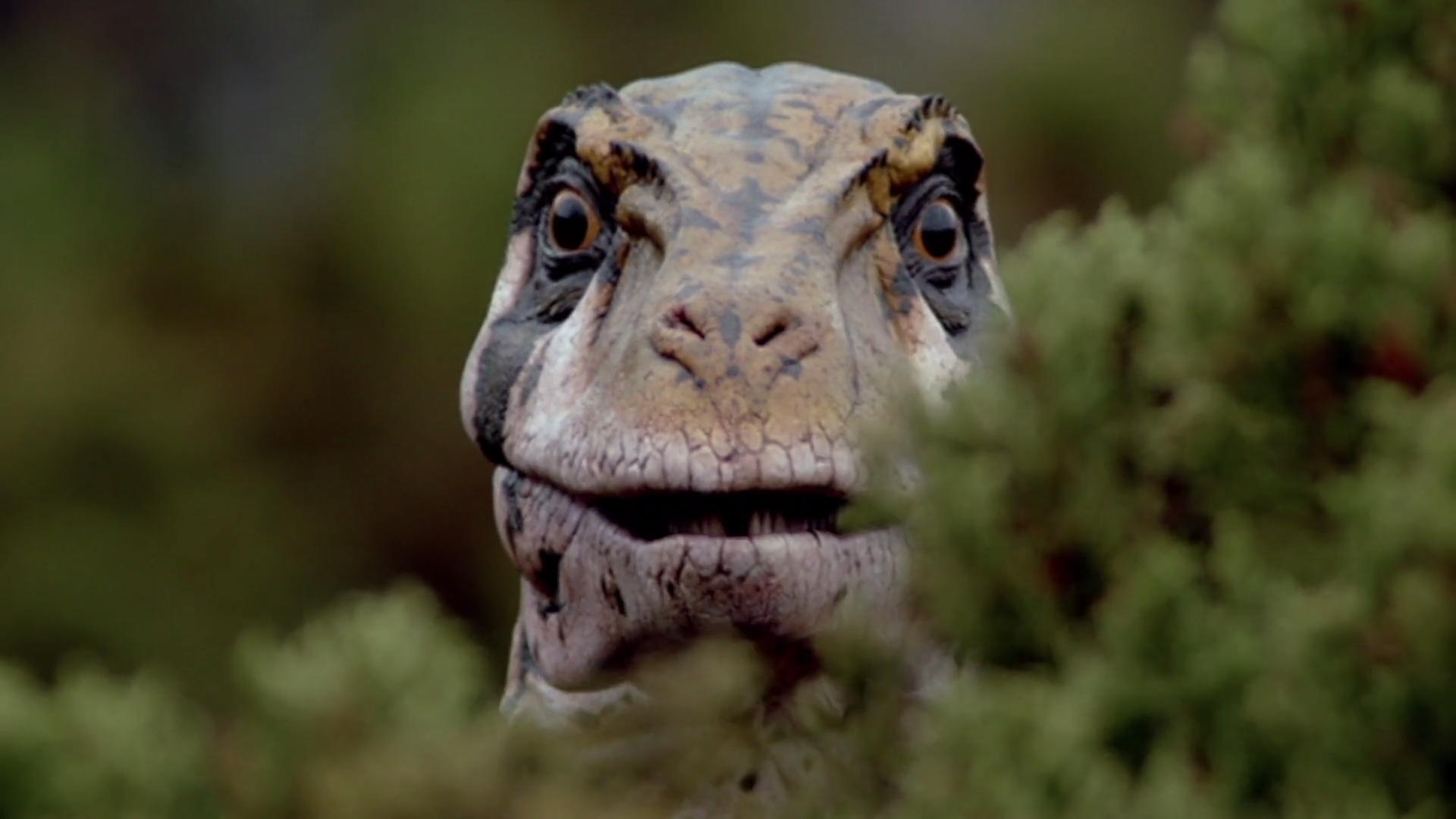 1920x1080 Walking with Dinosaurs (1999)