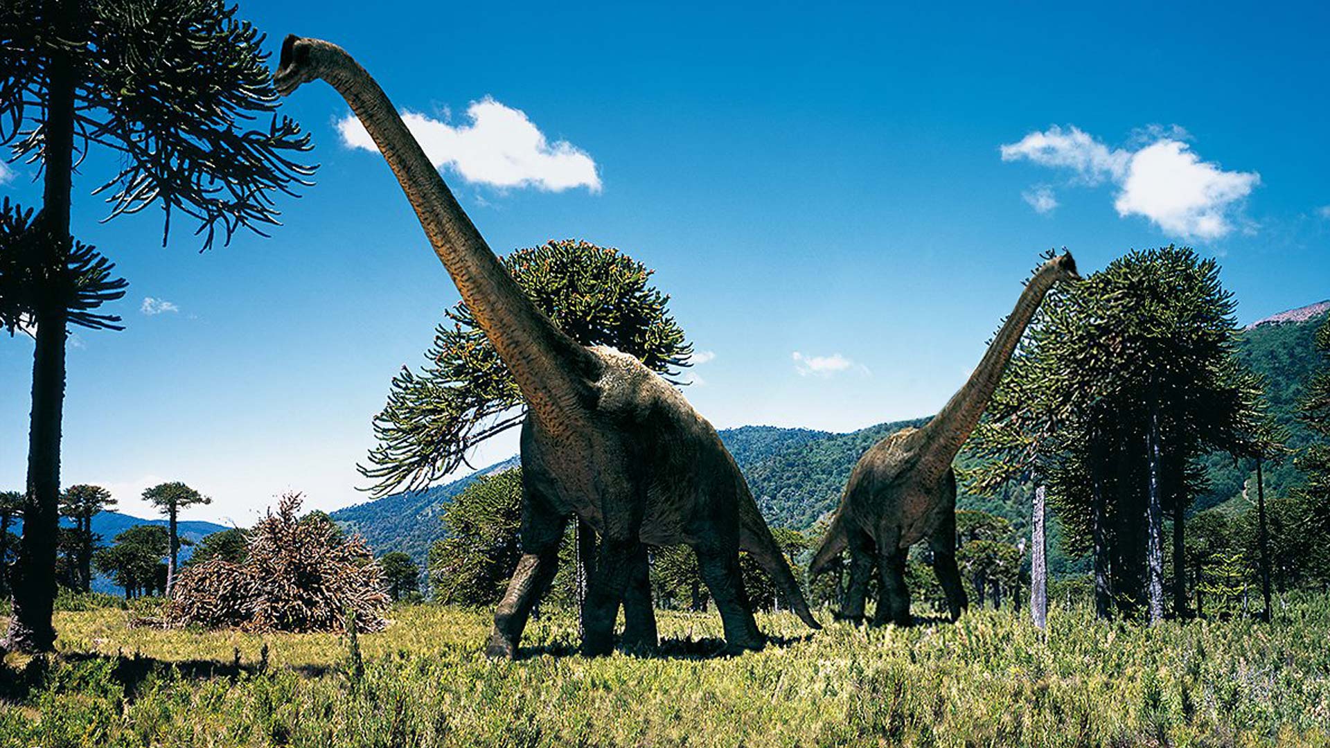 1920x1080 Watch Walking with Dinosaurs Season 1