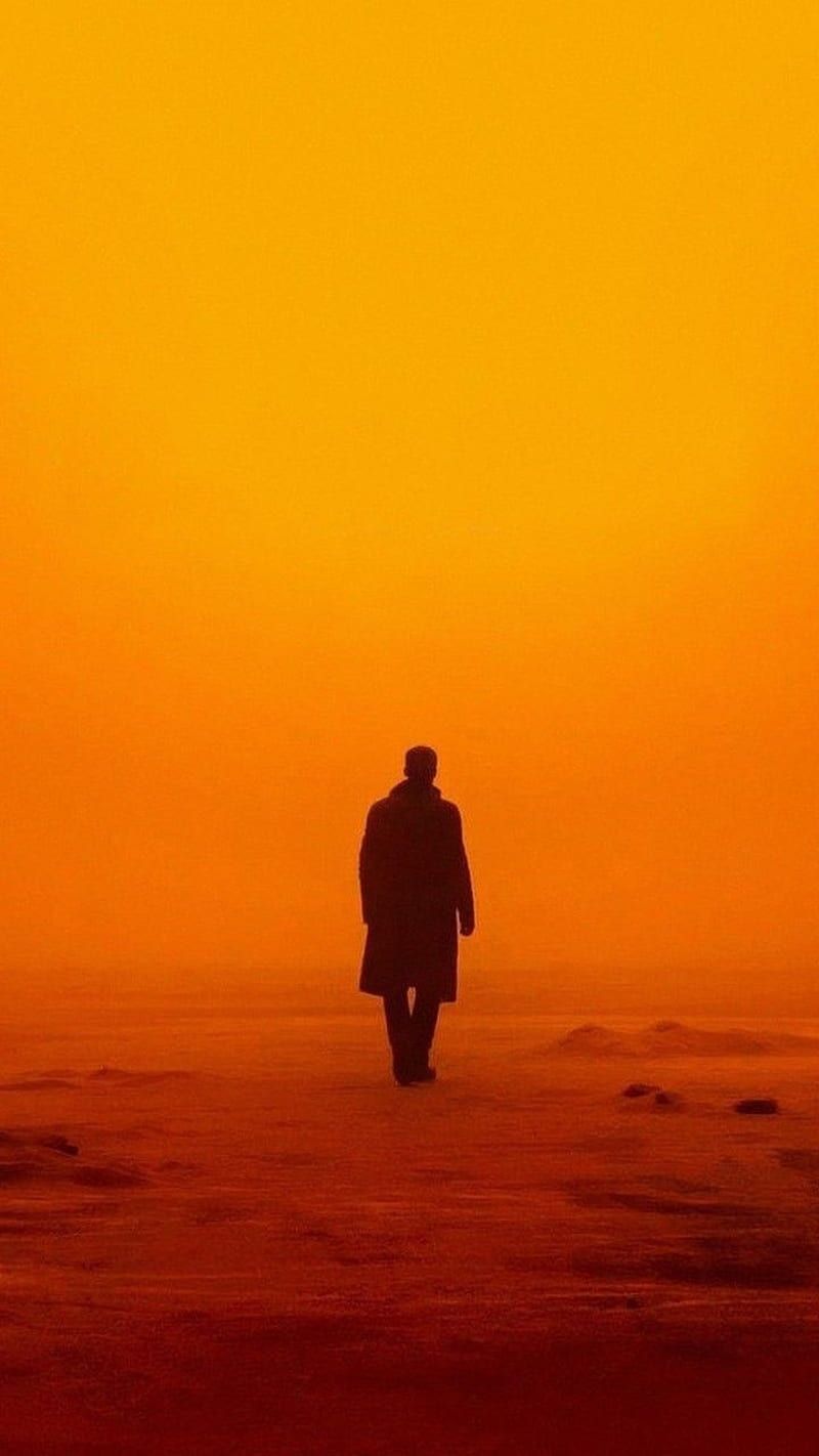 800x1422 HD cinematography wallpaper