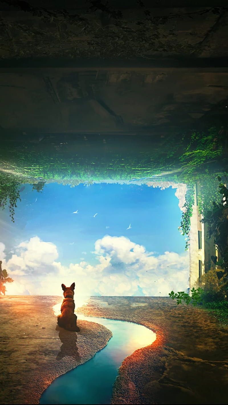 800x1422 Fox, cinematic, tower, HD phone wallpaper