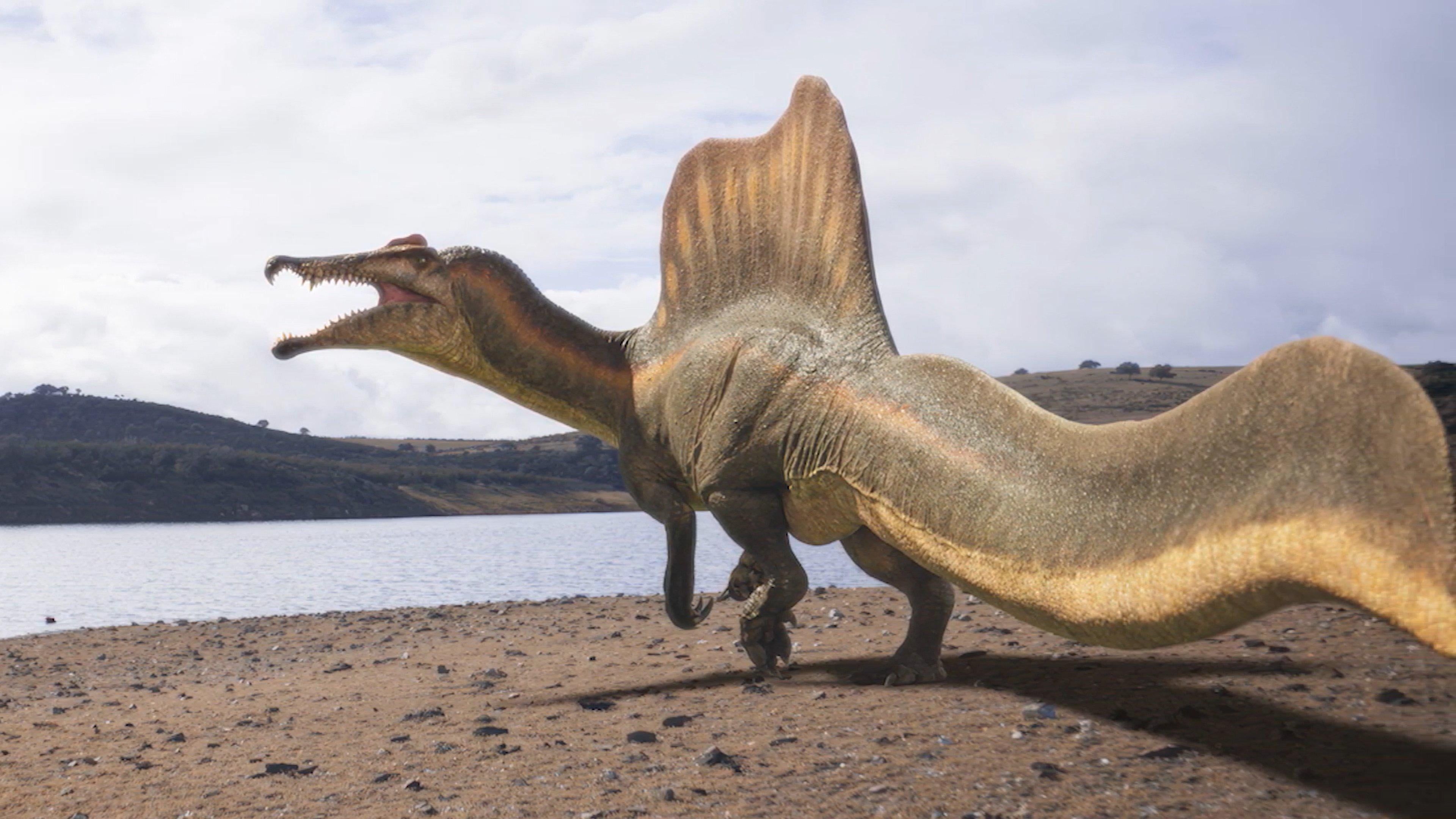3840x2160 Seems like the spino in Walking with Dinosaurs will be based on the FSAK neotype and not a fully grown spinosaurus