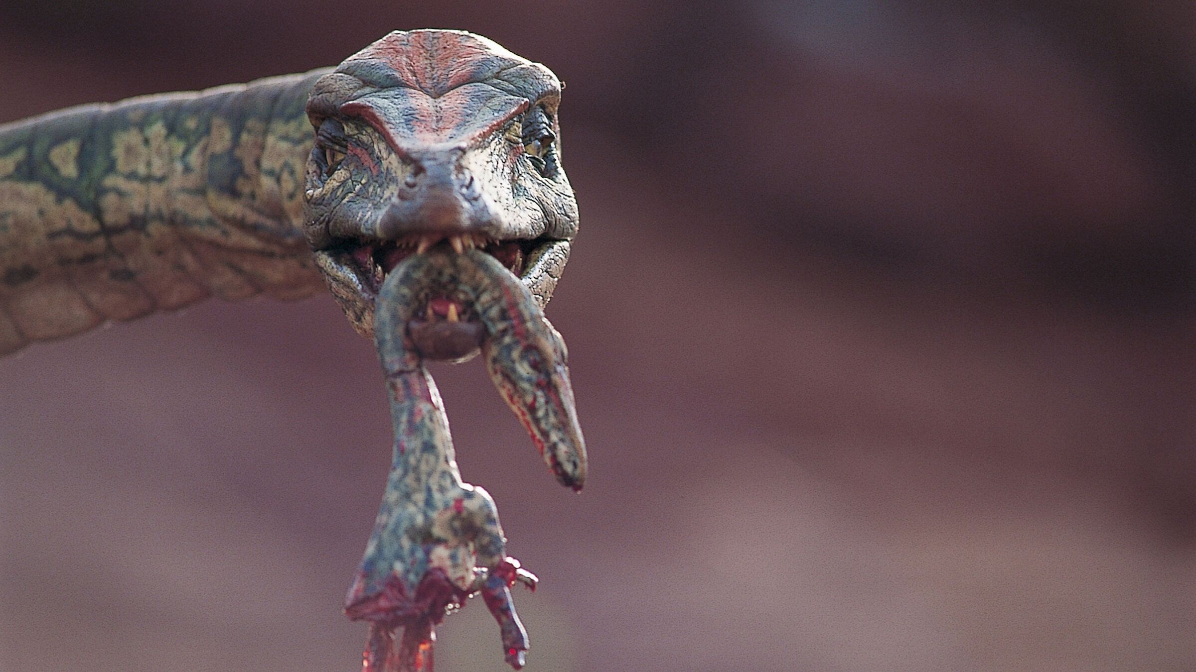 2400x1350 Watch Walking with Dinosaurs