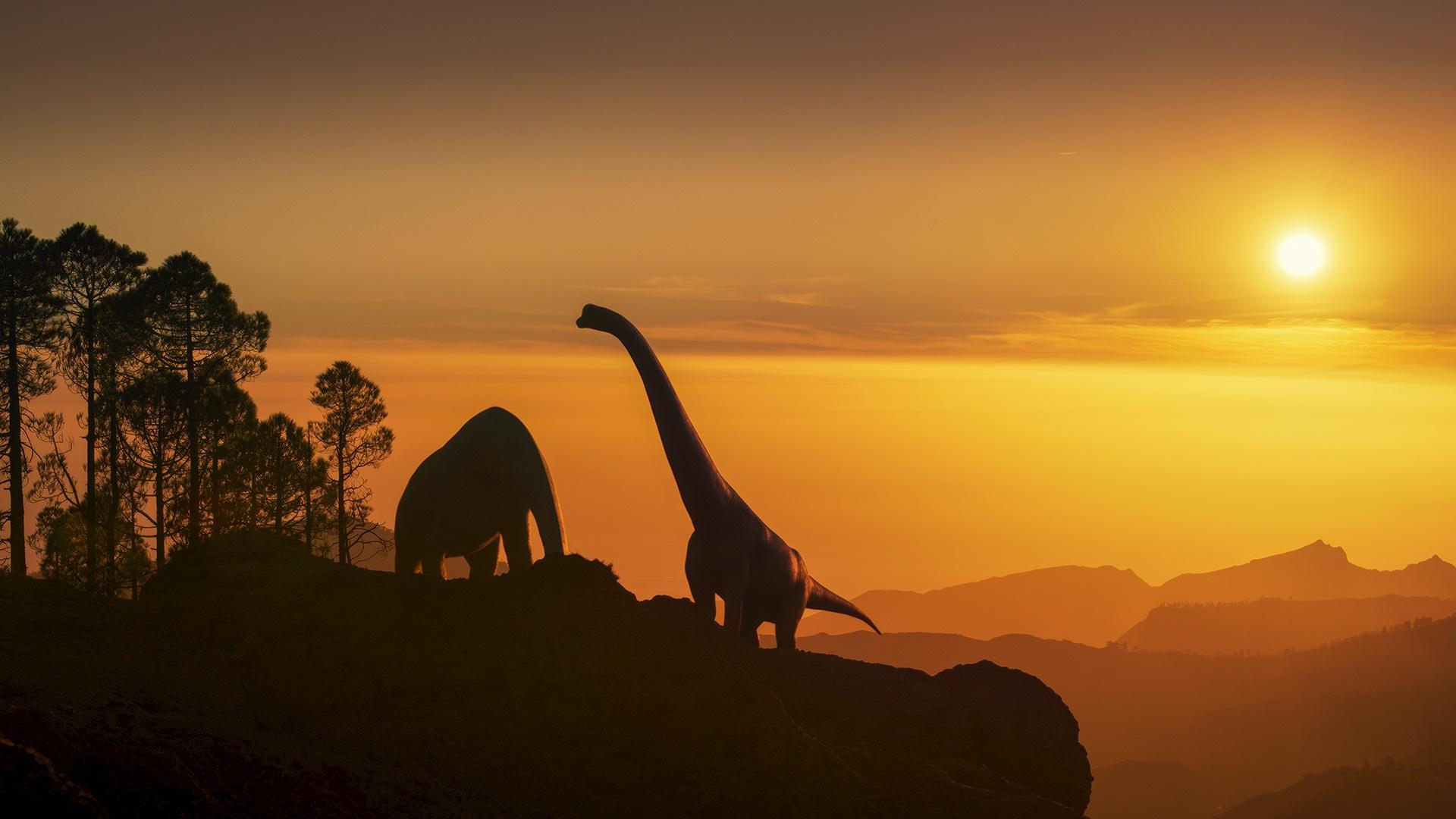 1920x1080 Walking with Dinosaurs Cities PBS