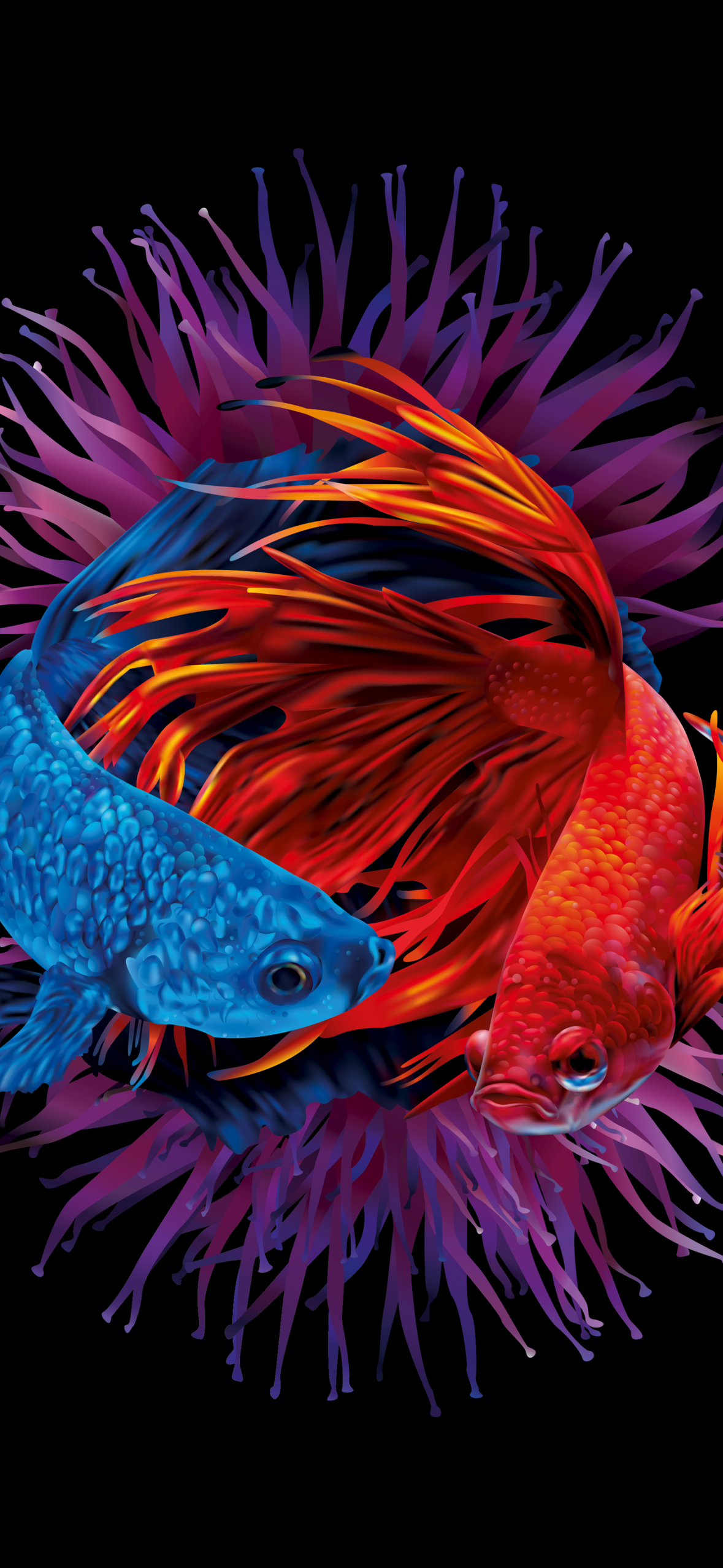 1179x2556 Betta fishes Wallpaper 4K, Siamese fighting fish, Underwater