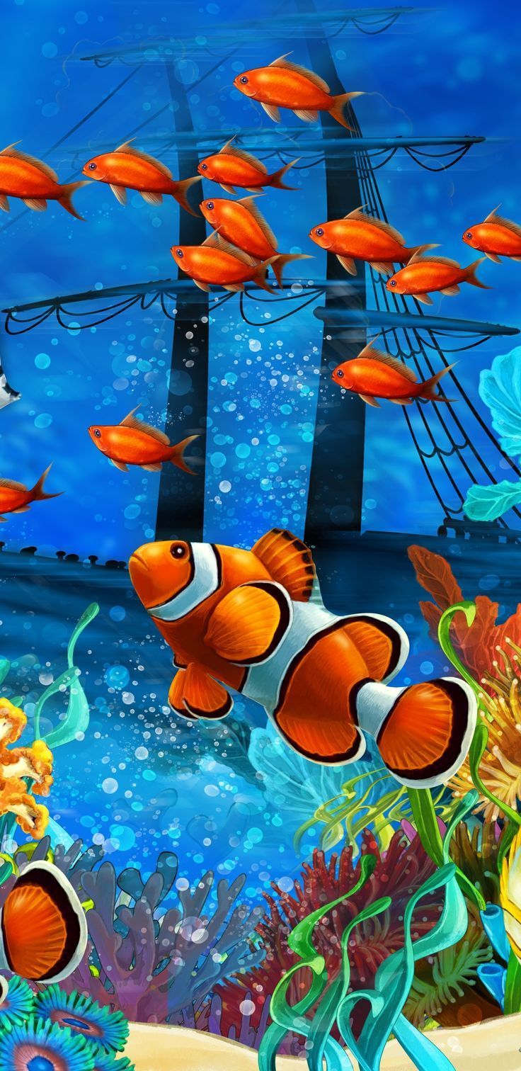 736x1512 Fish Wallpaper
