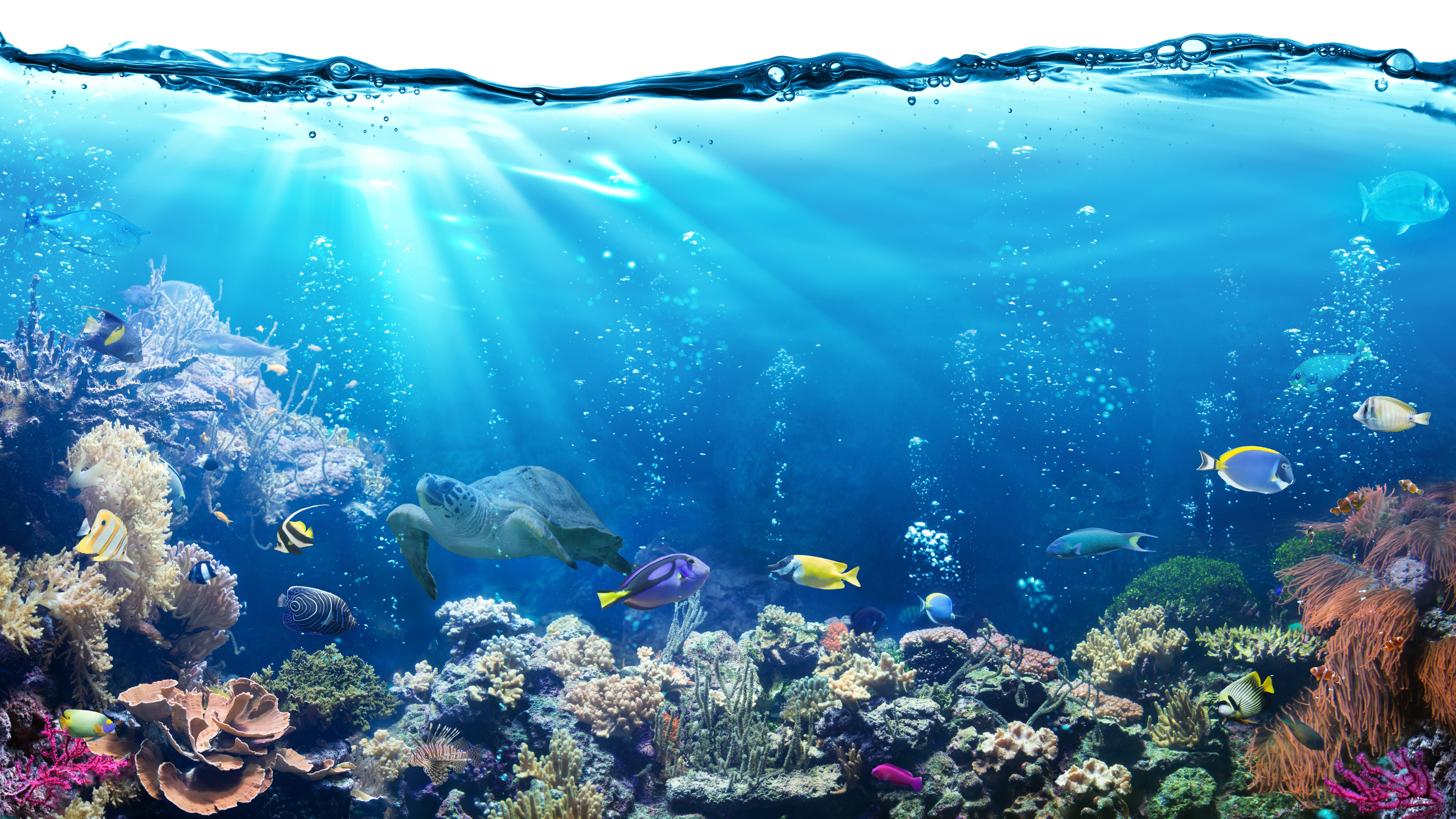 7680x4320 Ocean scene