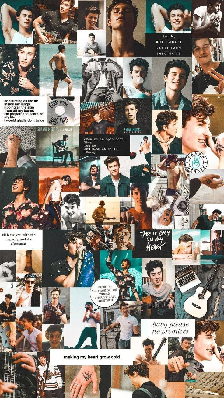 736x1308 Download Shawn Mendes Aesthetic Collage Wallpaper