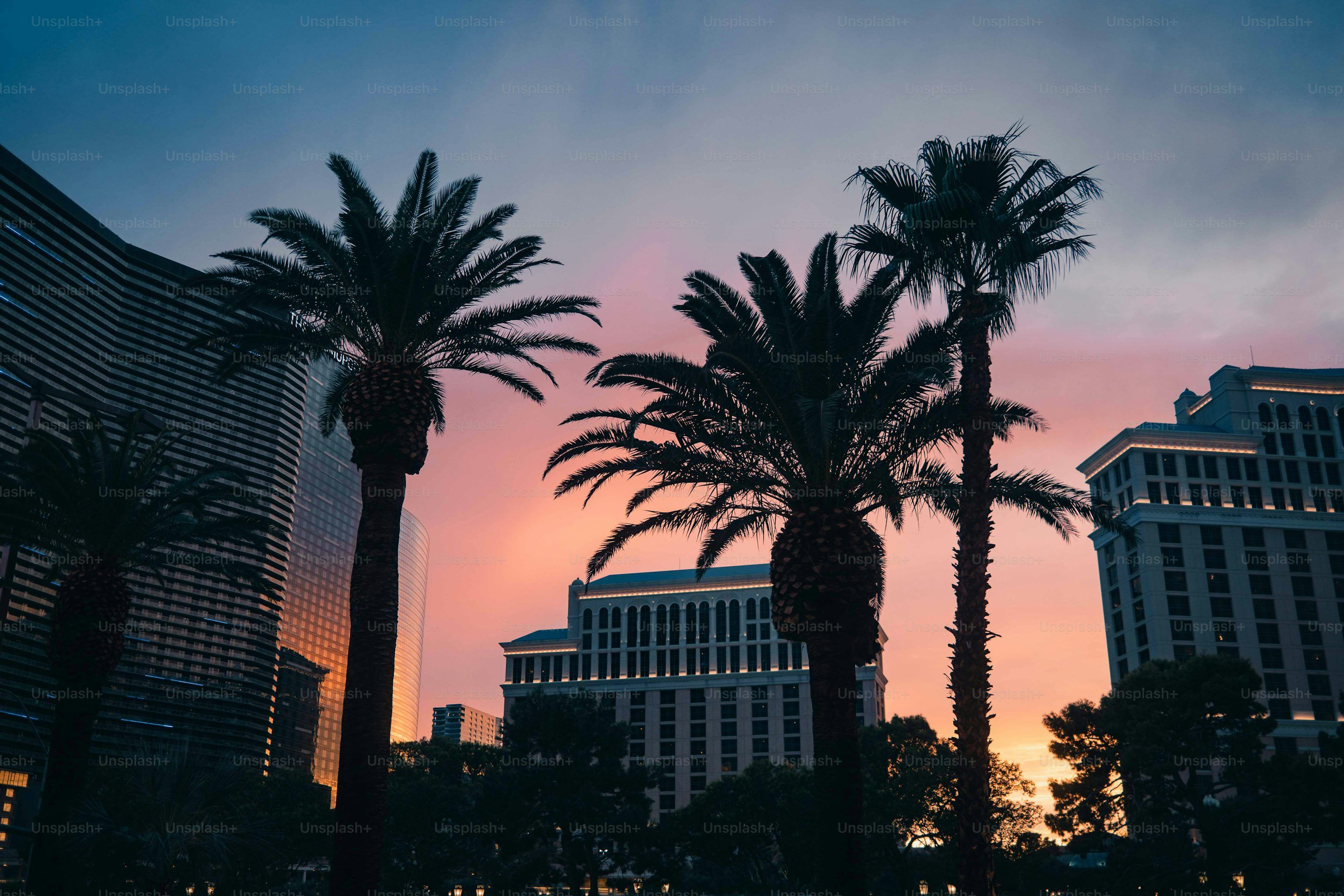 3000x2000 Las Vegas Night Picture. Download Free Image