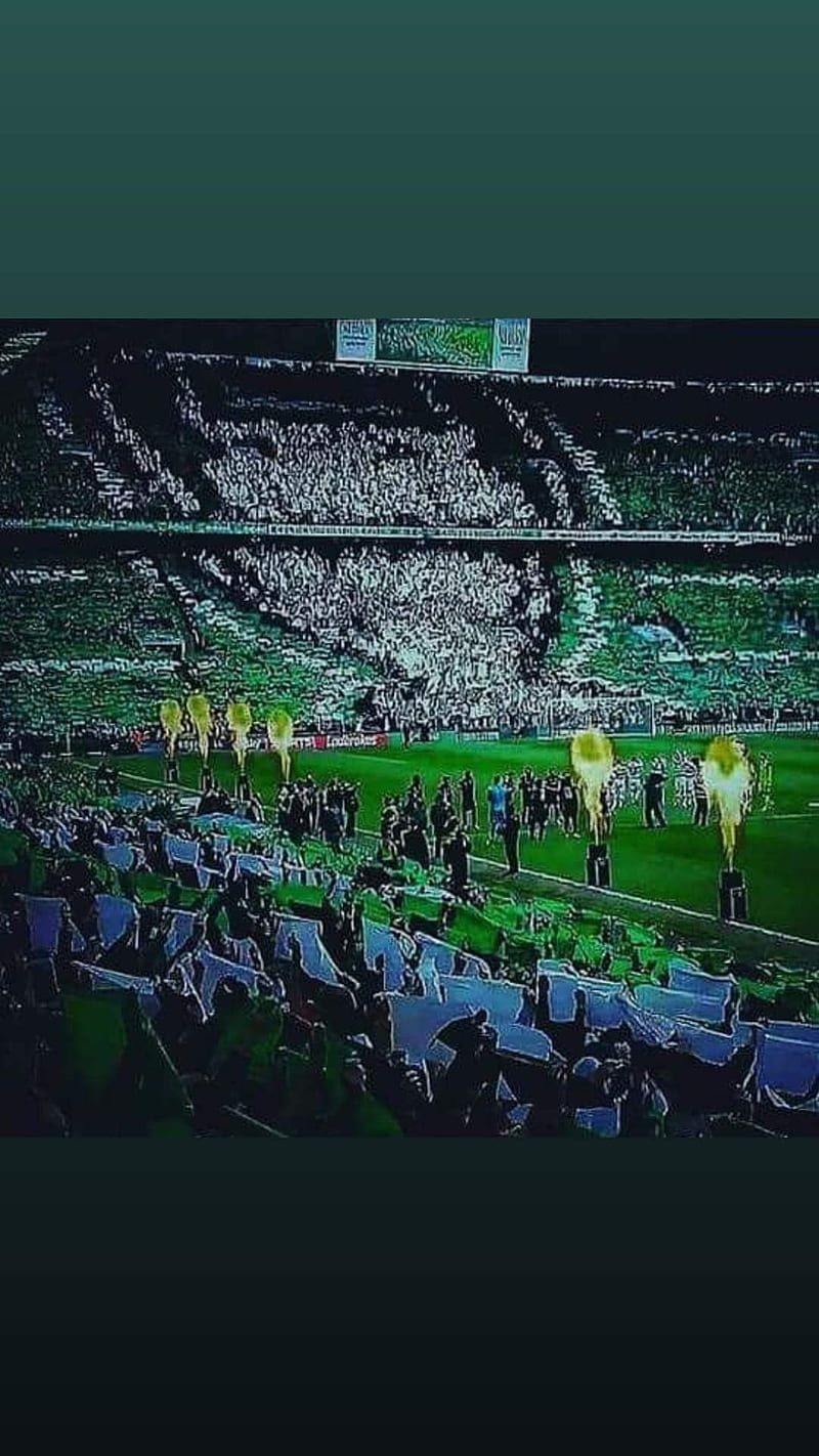 800x1422 Celtic paradise, glasgow celtic, hoops, HD phone wallpaper