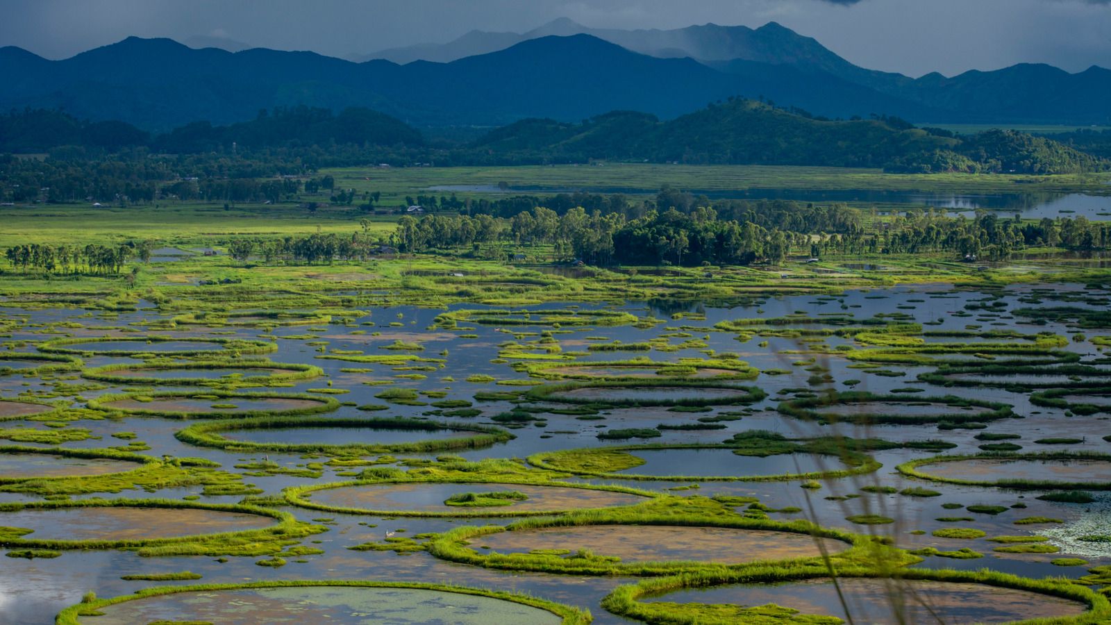 1600x900 The World's Only Floating National Park Is An Ethereal Natural Wonder Worth Exploring In India