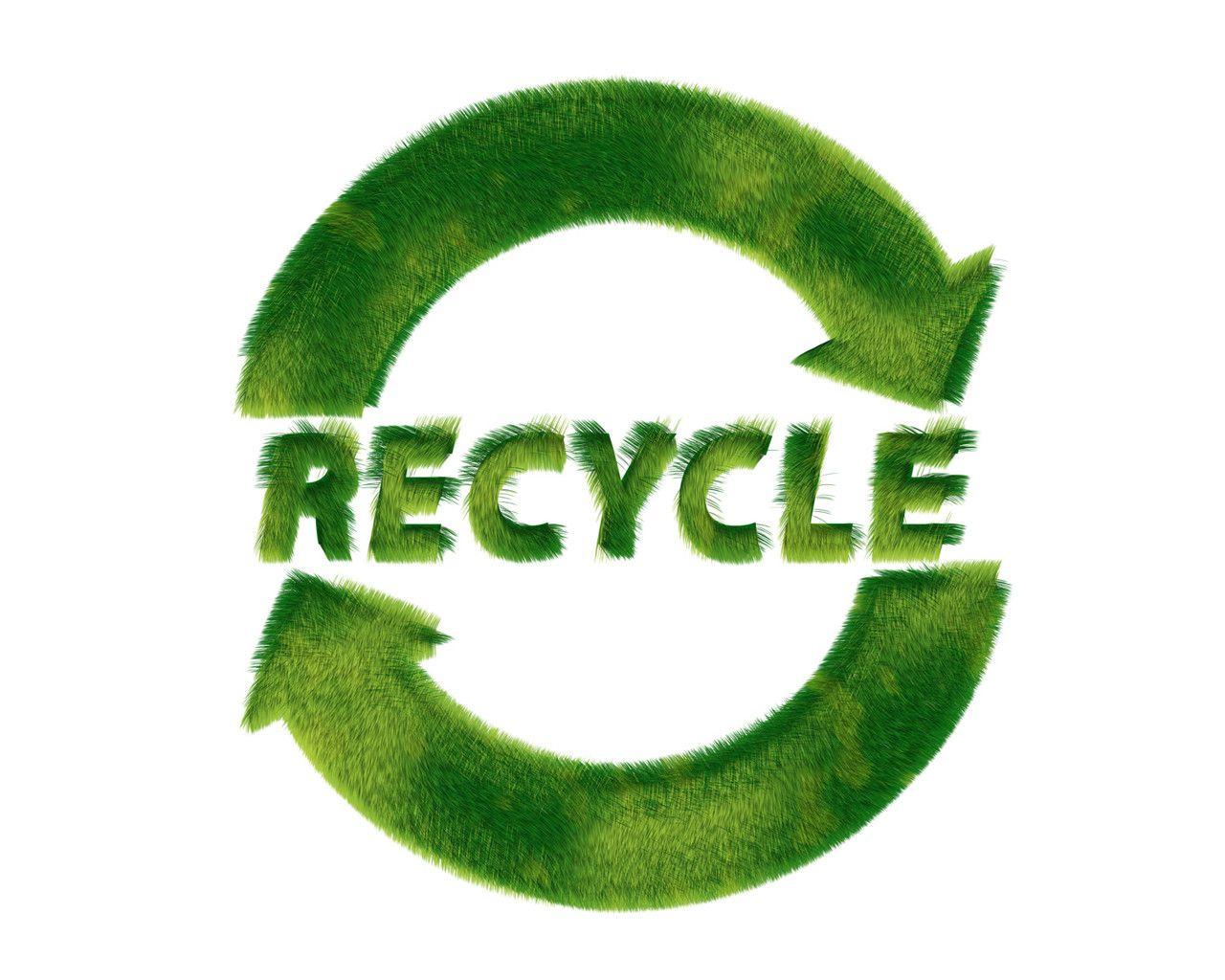 1280x1024 Greenpeace Symbols symbols and Green icons 1280x1024 NO.13 Desktop Wallpaper