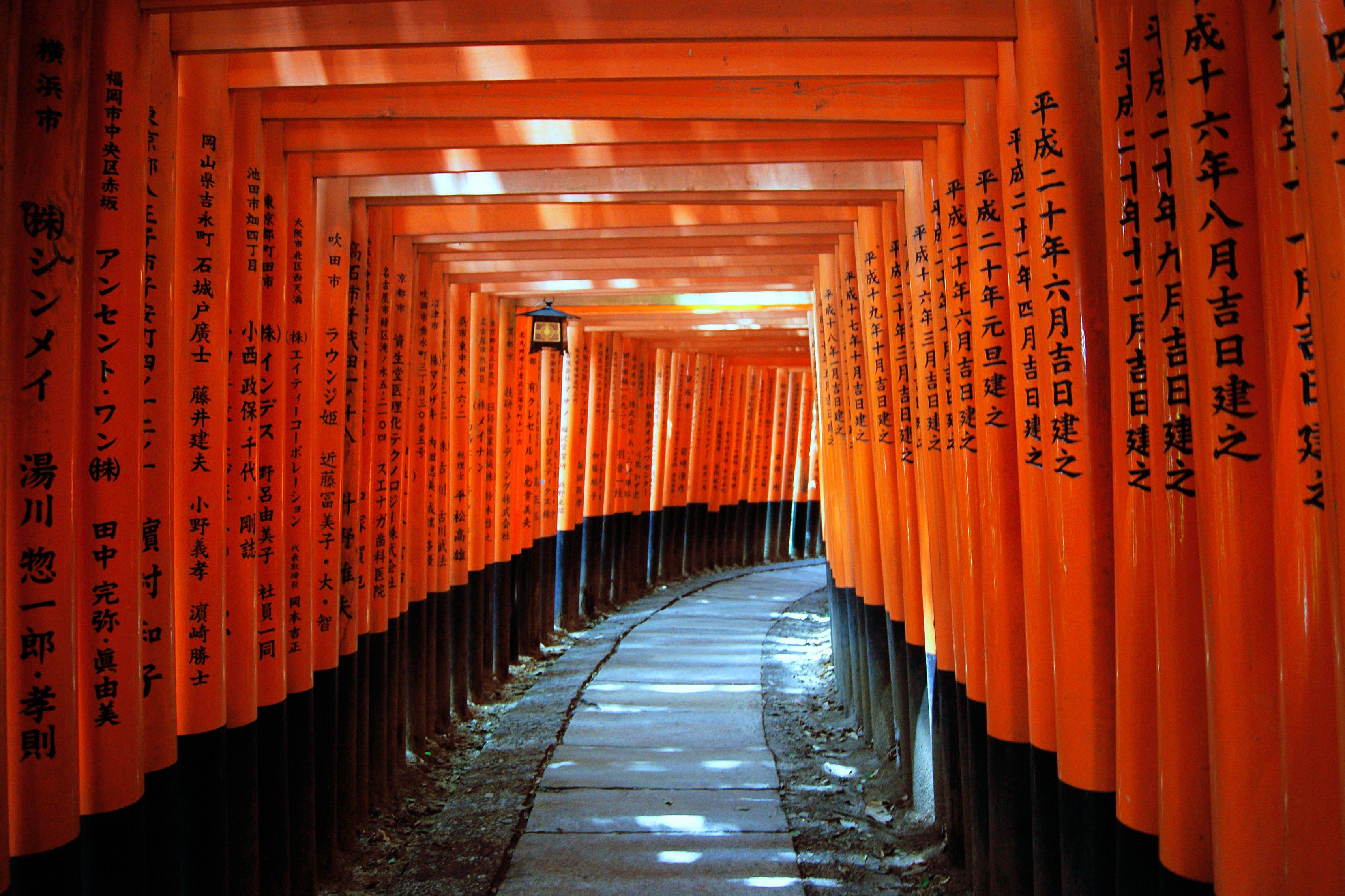 Fushimi Inari Wallpapers Top Free Fushimi Inari Backgrounds 
