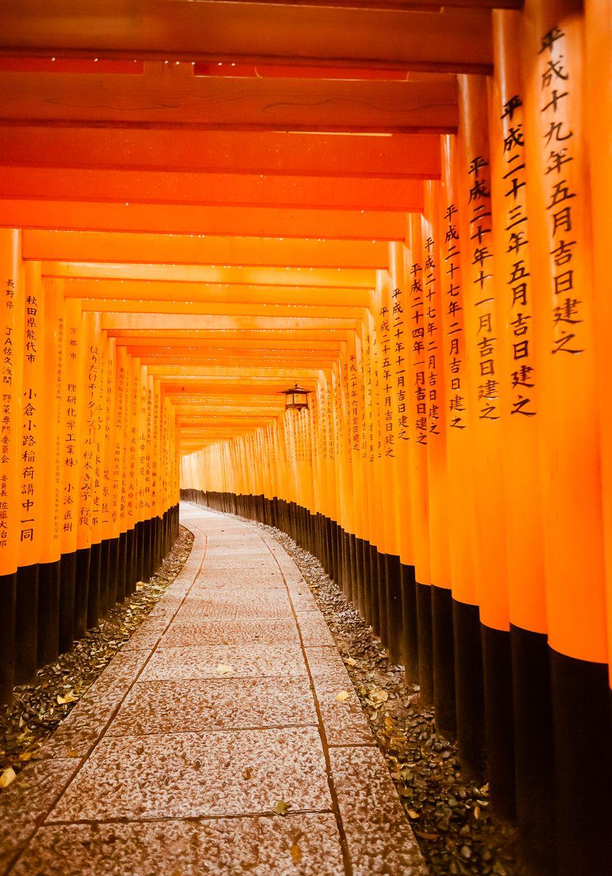 894x1280 Fushimi Inari Taisha Wallpaper