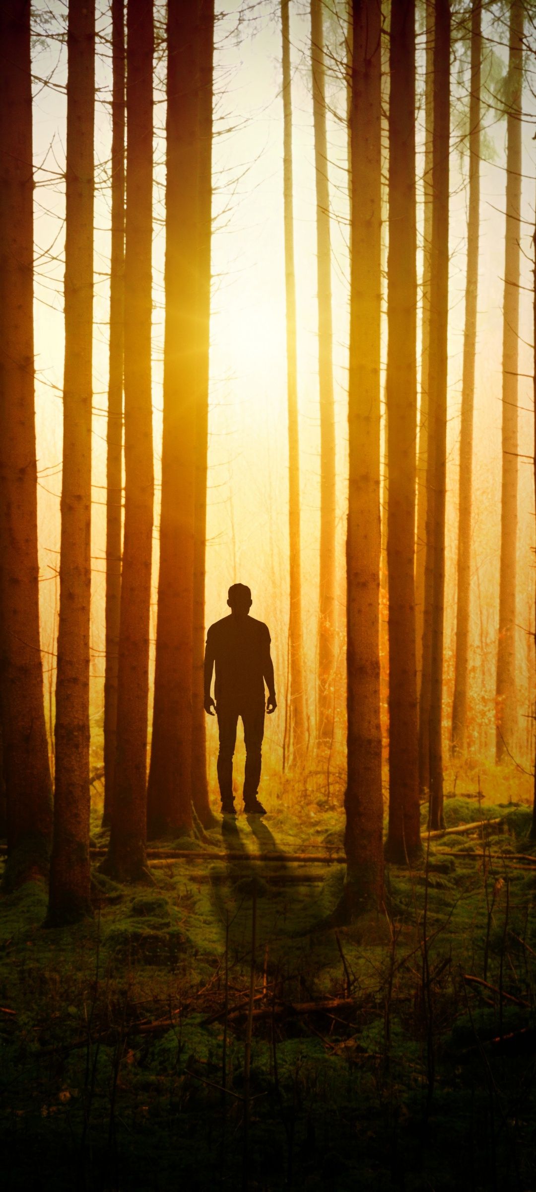 1080x2400 Silhouette Wallpaper 4K, Aesthetic, Man, Standing, Sunset