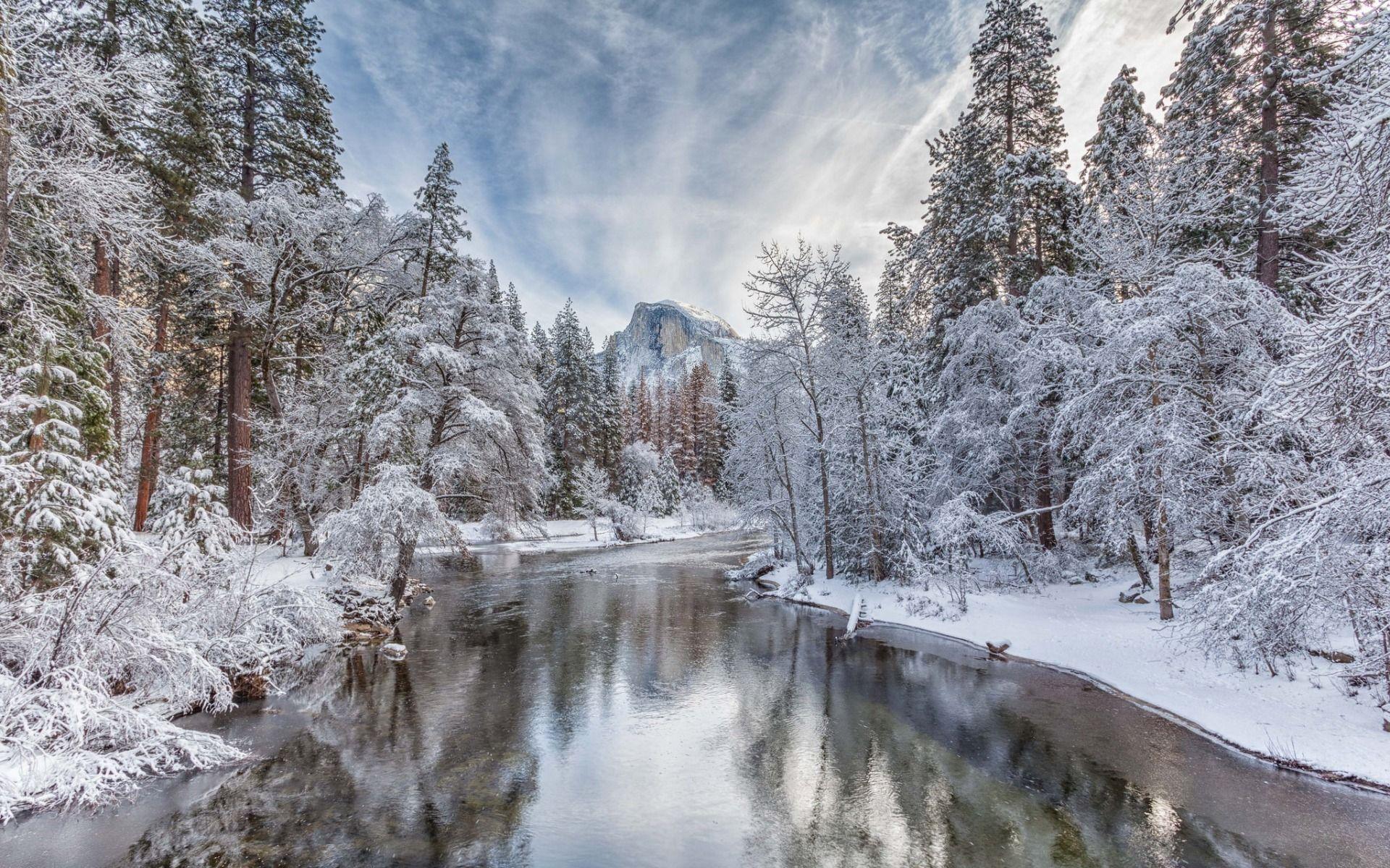1920x1200 Download wallpaper Merced River, winter landscape, forest, winter
