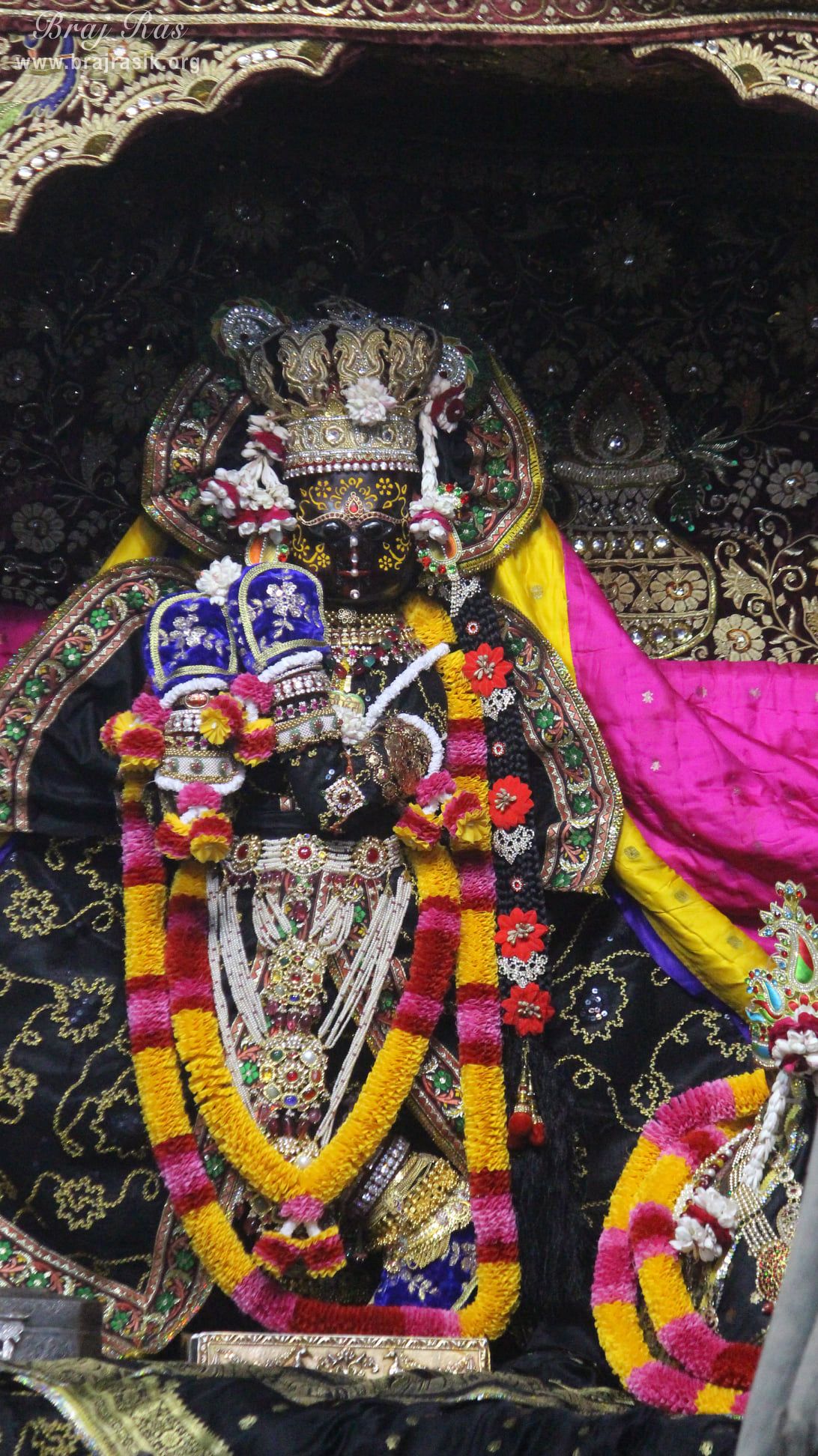 1092x1944 Shri Radha Vallabh's Darshan 2020