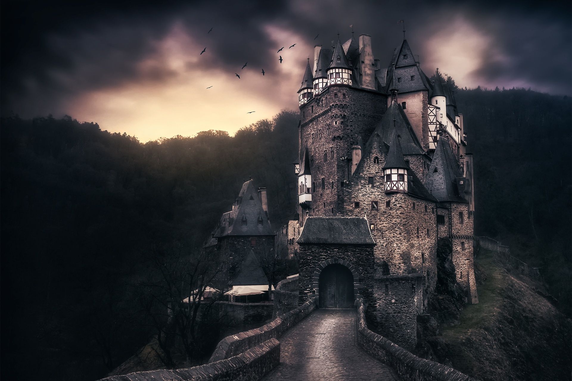 1920x1280 Wallpaper clouds, clouds, castle, bird, Germany, ELTZ for mobile and desktop, section город, resolution 1920x1280