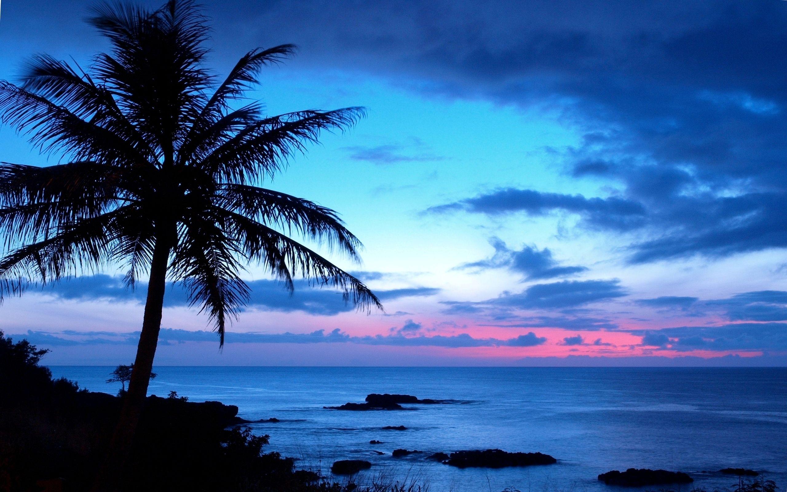 2560x1600 PK93 Full HD Hawaii Picture (Mobile, PC, iPhone and more)