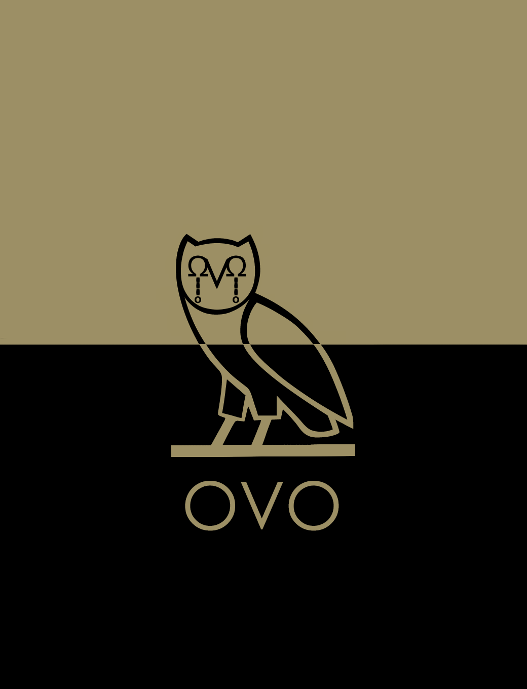 1040x1360 Drake Owl IPhone Wallpaper on MarkInternational.info