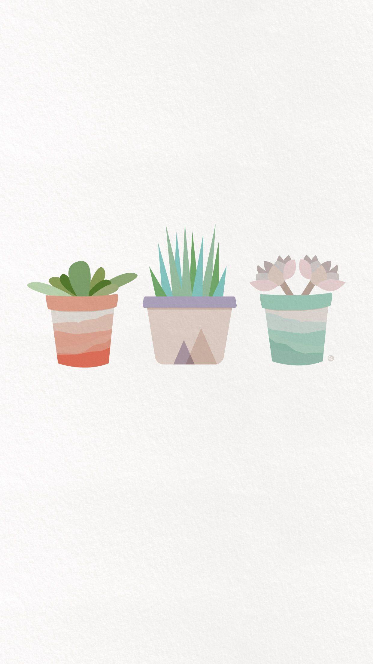 1242x2208 iPhone Wallpaper. Flowerpot, Echeveria, Illustration, Cactus