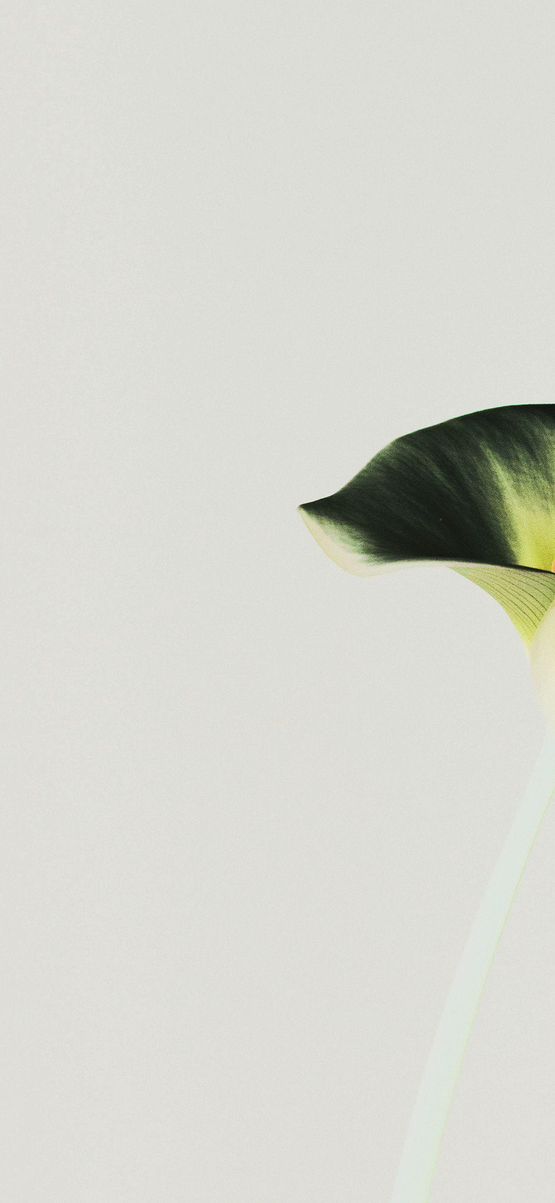 1125x2436 Lily Flower Minimal Simple Green Nature Inverted Wallpaper