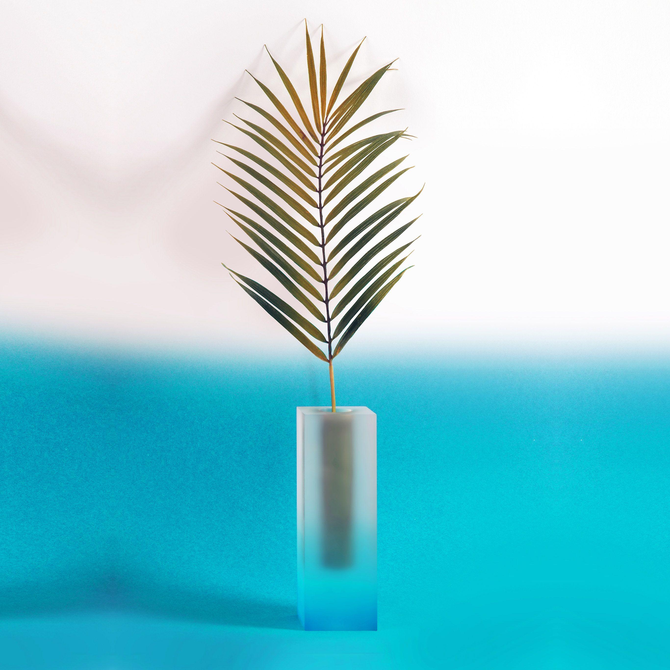 2732x2732 Plant Blue Minimal Home Art Illustration Wallpaper