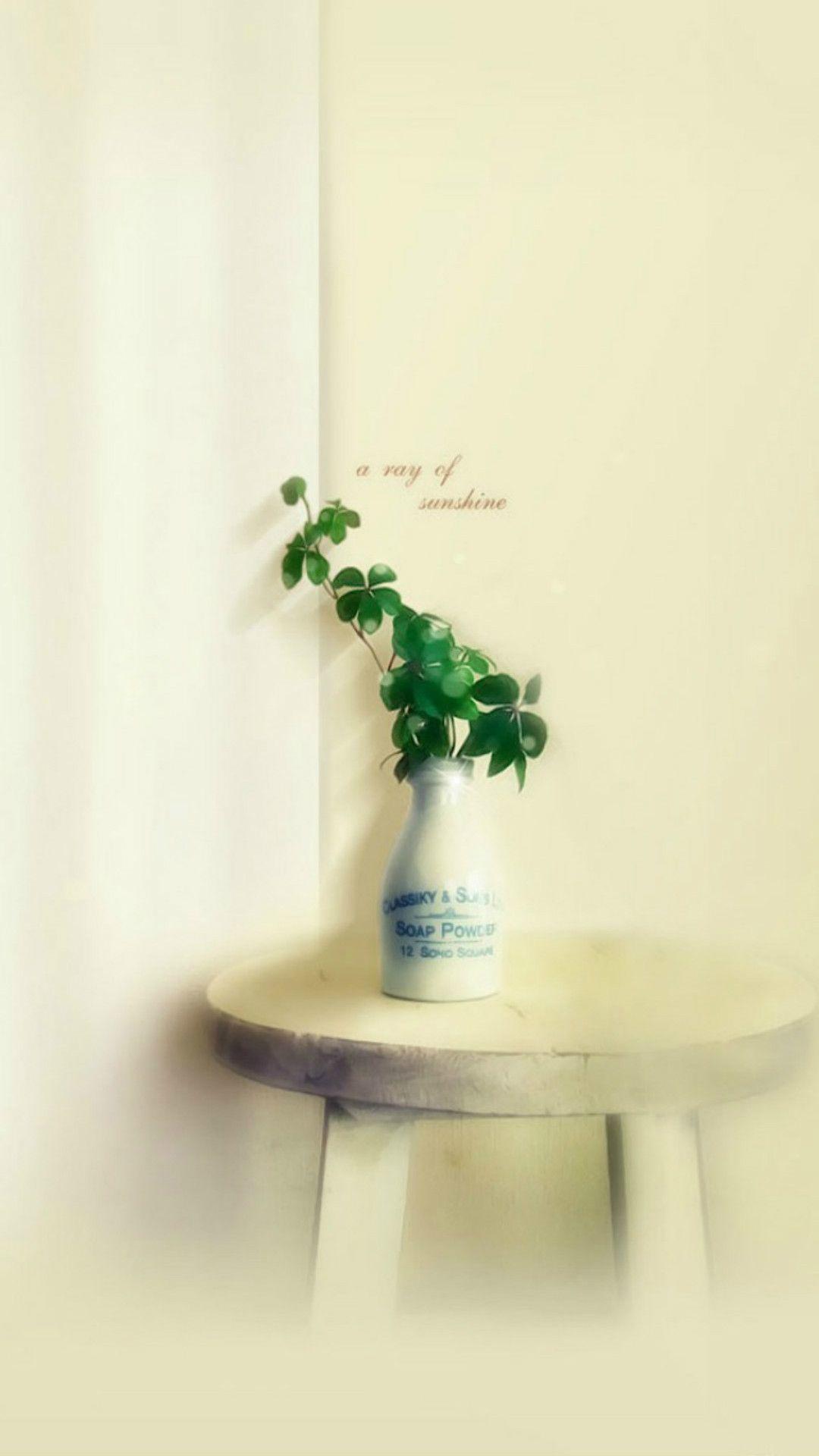 1080x1920 Nature Minimal Elegant Room Table Plant Vase iPhone 8 Wallpaper