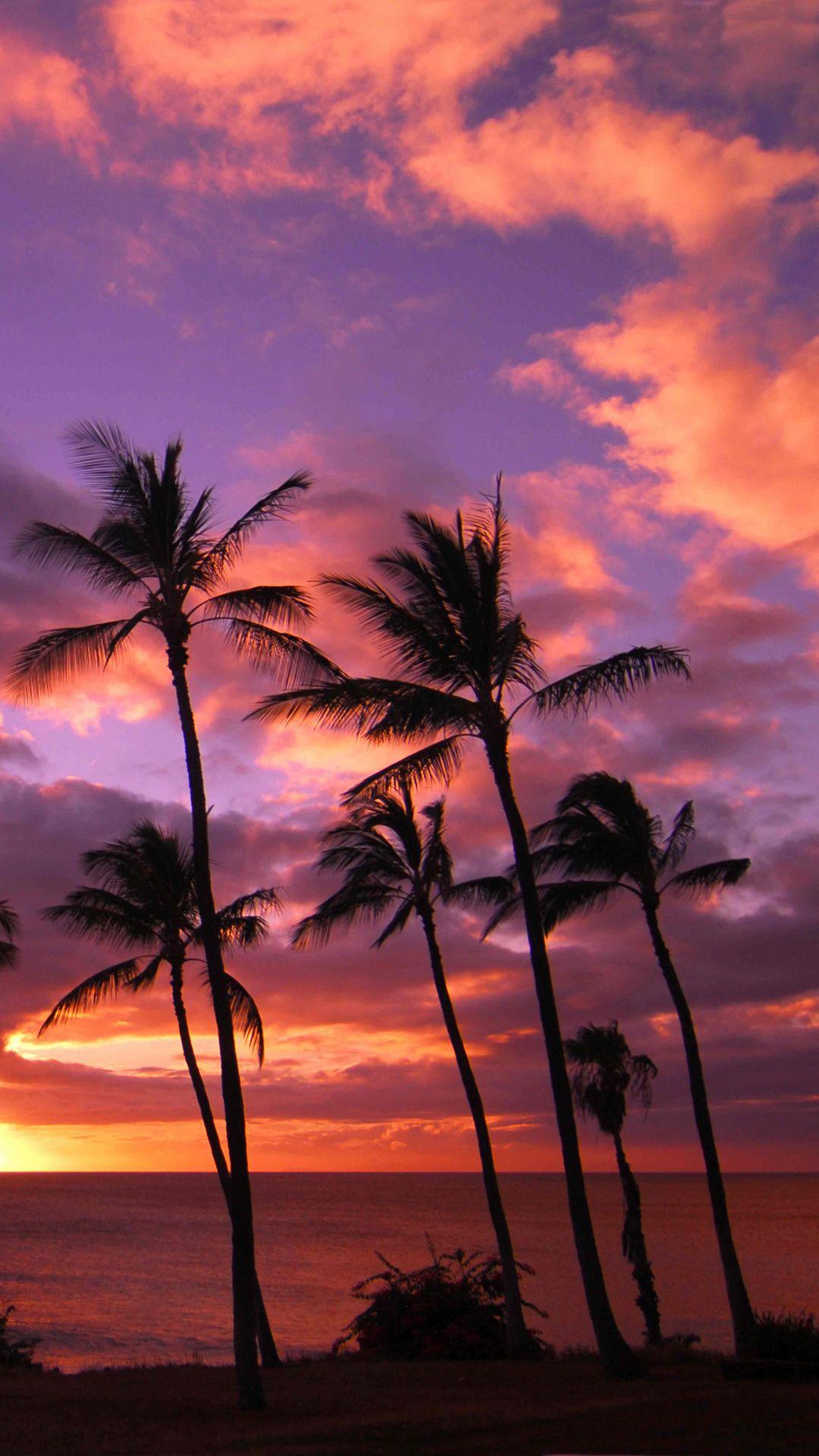 1080x1920 Hawaii Sunset Hình Nền iPhone HD