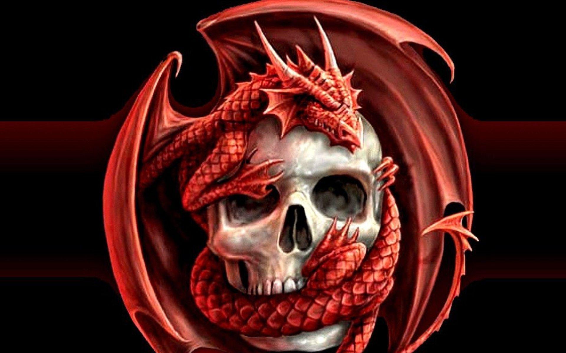 1920x1200 Dragons wallpaperDownload free stunning HD background