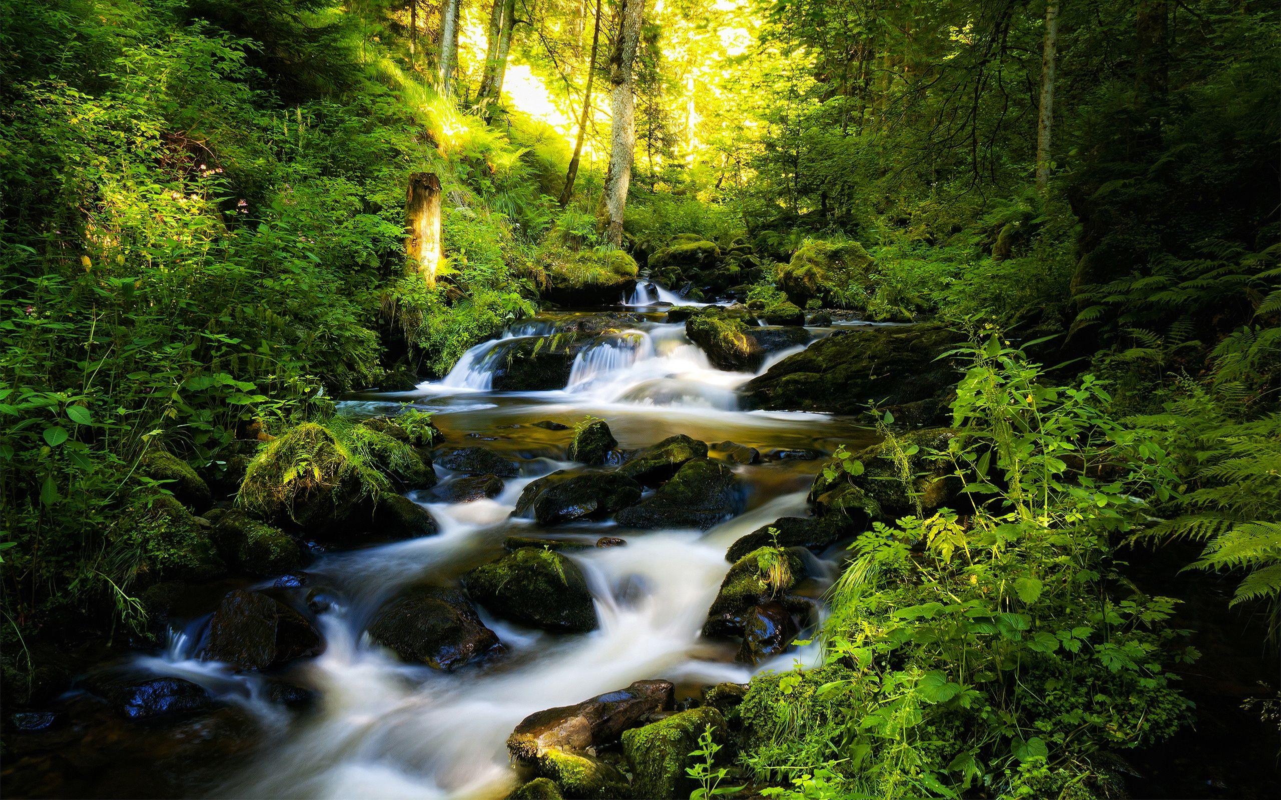 Stream Wallpapers - Top Free Stream Backgrounds - WallpaperAccess