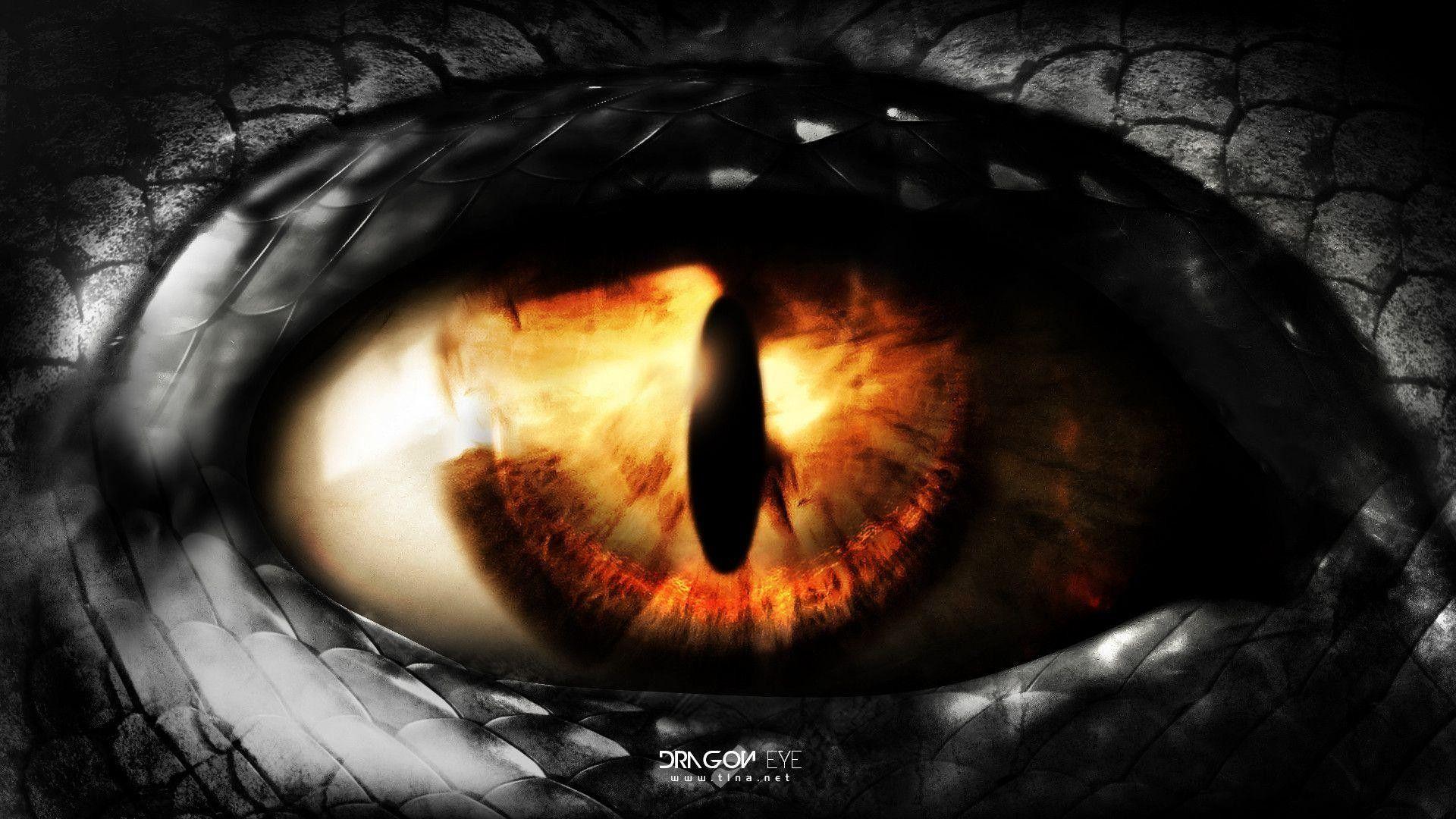 1920x1080 Dragon Eye Wallpaper