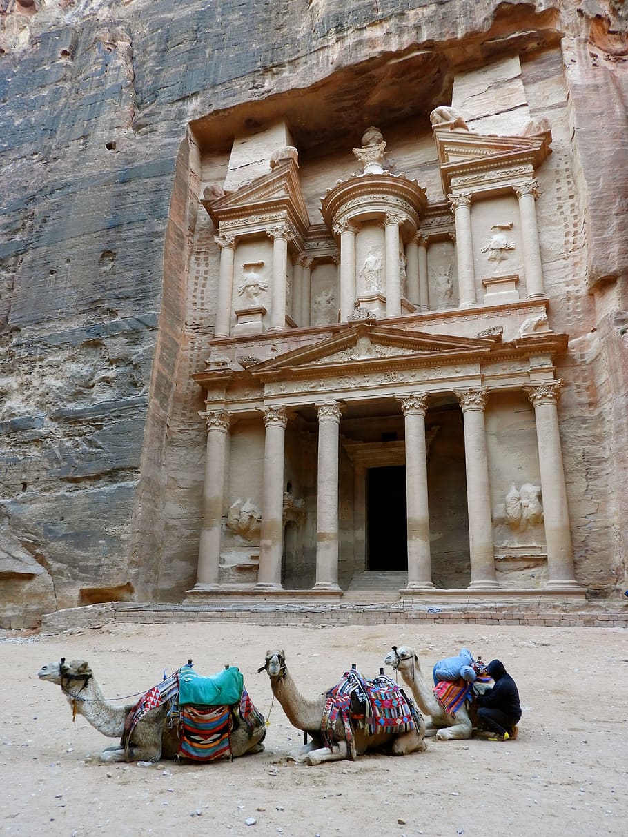 910x1213 HD wallpaper: petra, jordan, camel, archeology, unesco, canyon