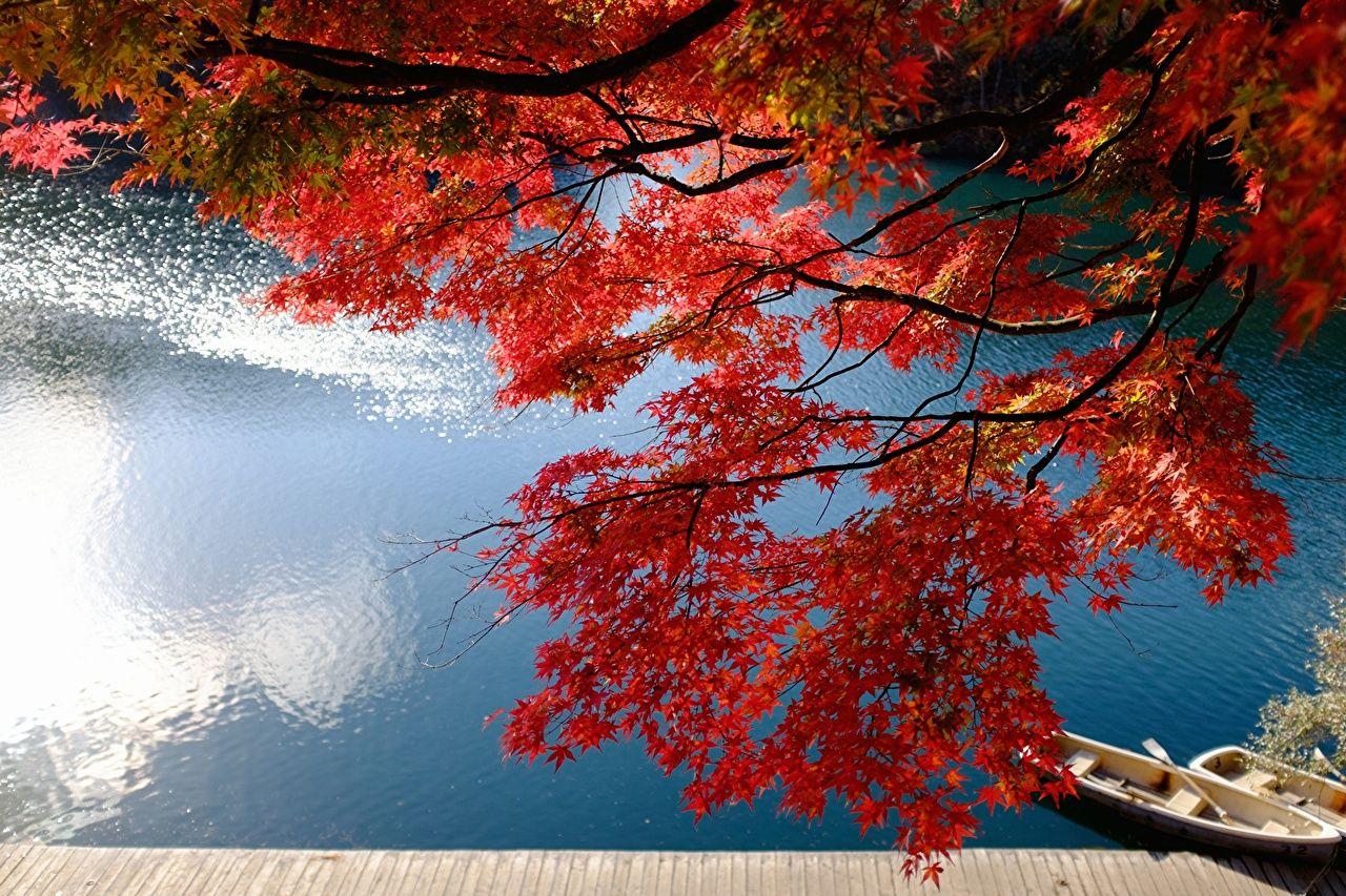 1280x853 Desktop Wallpaper Japan Lake Bishamon Bandai Fukushima acer Nature