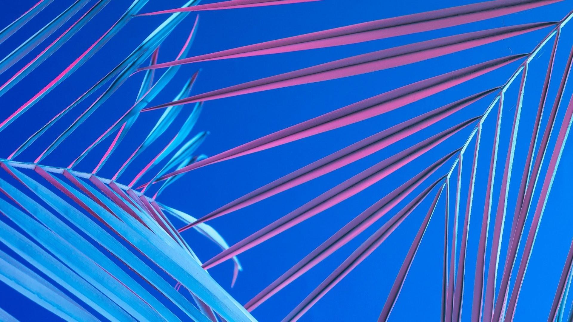 1920x1080 1080p Computer hd: August 2016