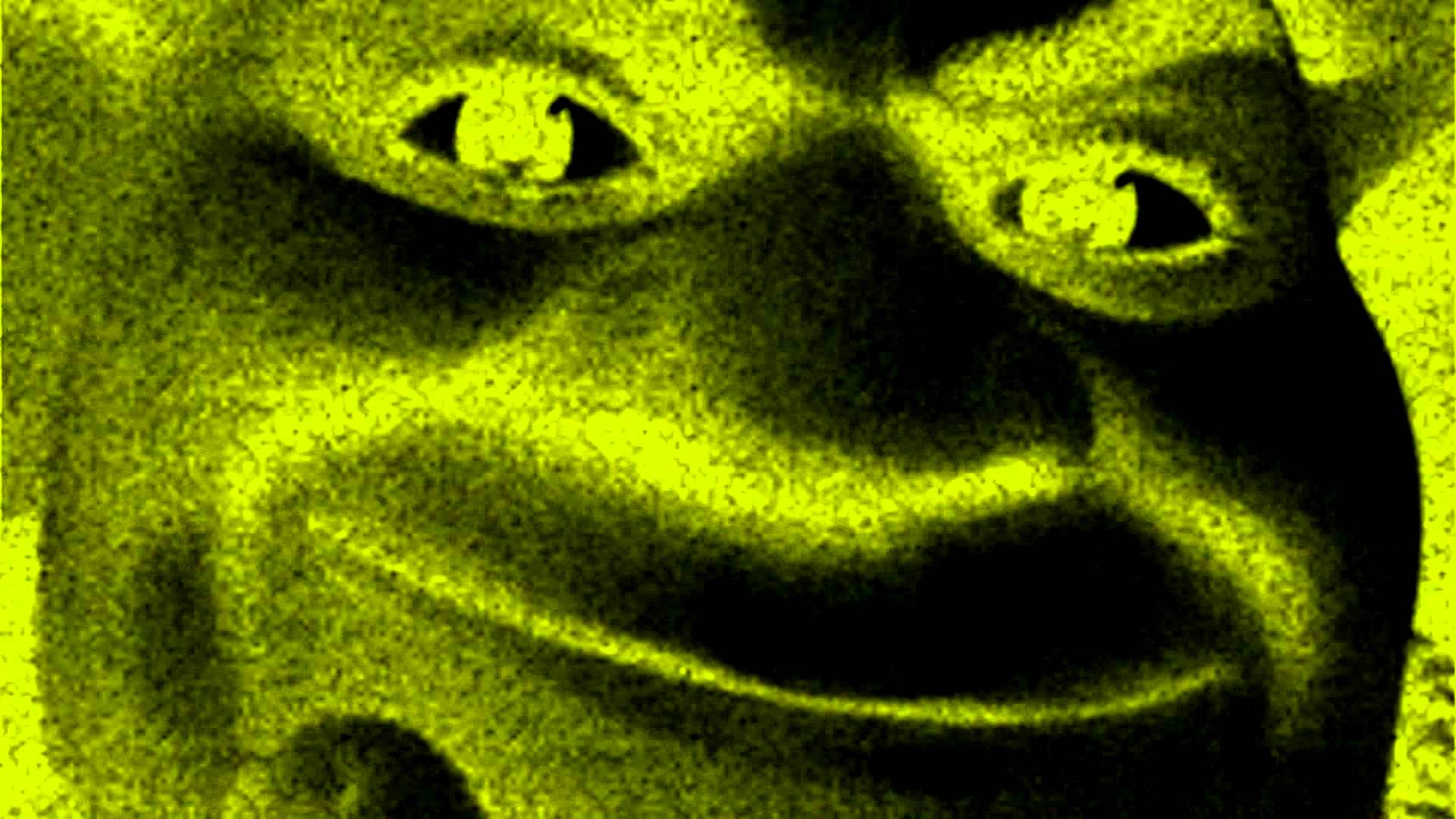 Shrek Memes Wallpapers Top Free Shrek Memes Backgrounds