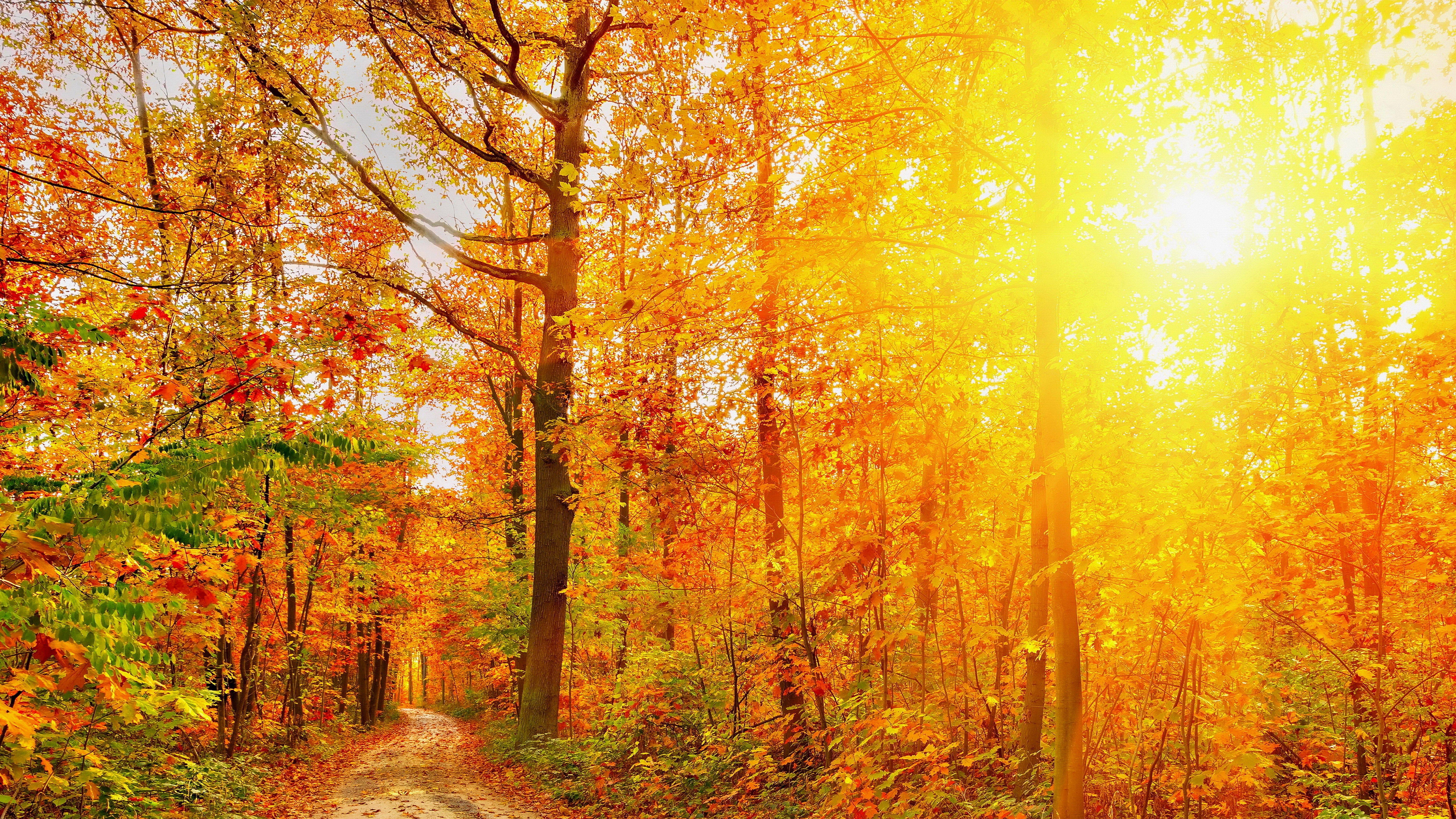 7680x4320 8k wallpaper fall landscape HD. Mocah HD Wallpaper