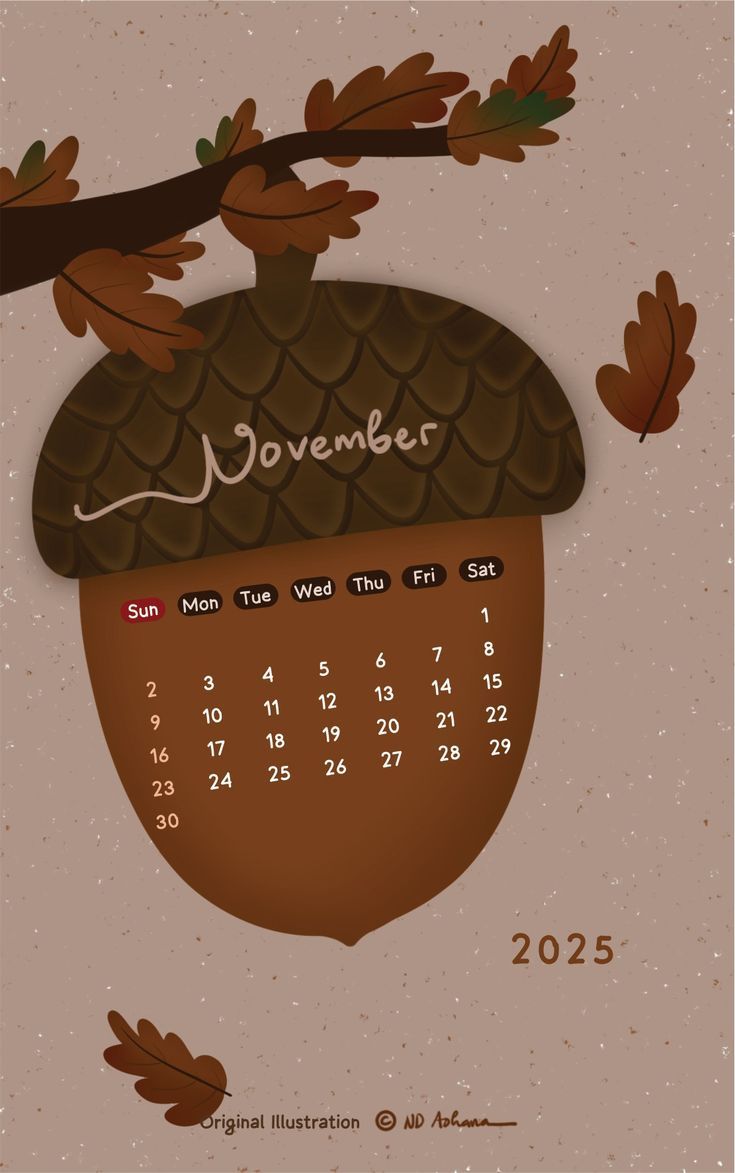 735x1173 November 2025