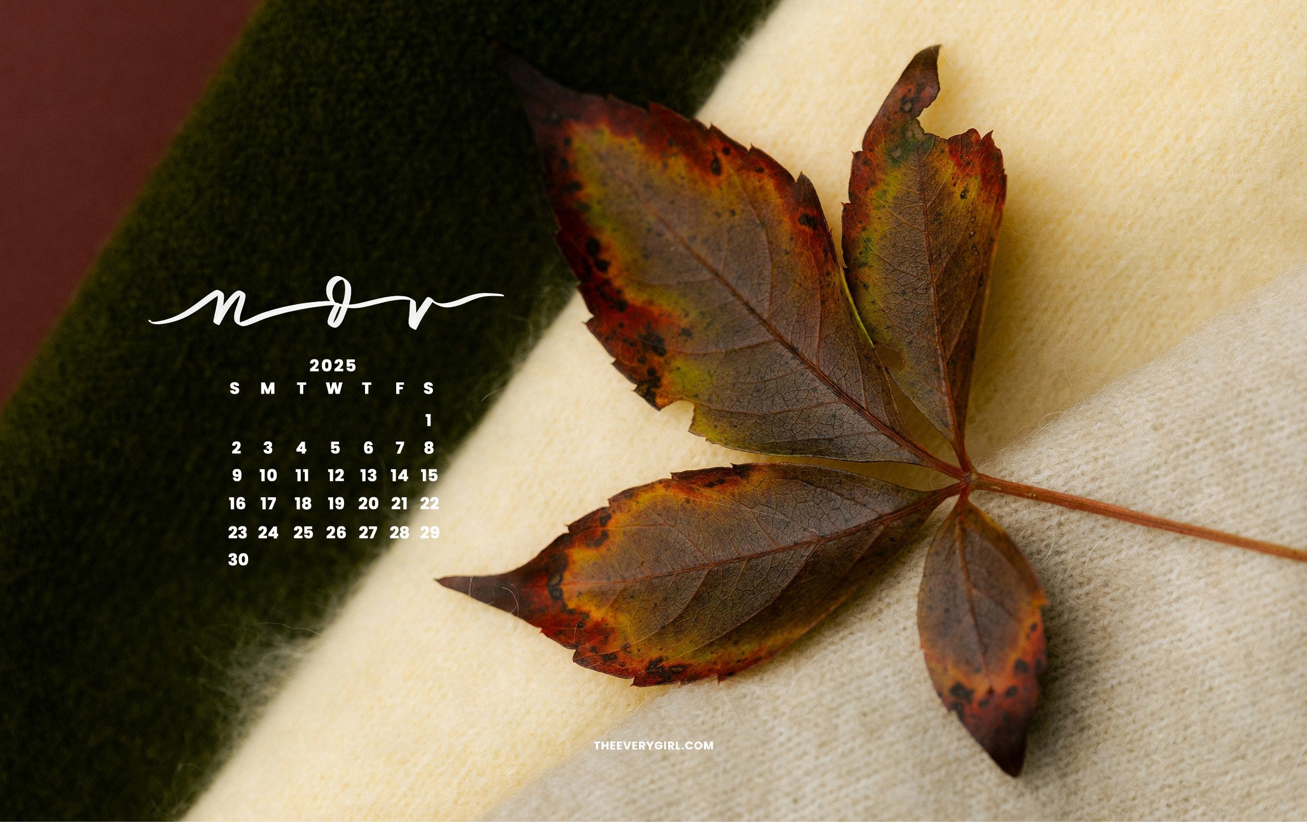 2560x1610 November 2025 Tech Background: Free, Downloadable Wallpaper!