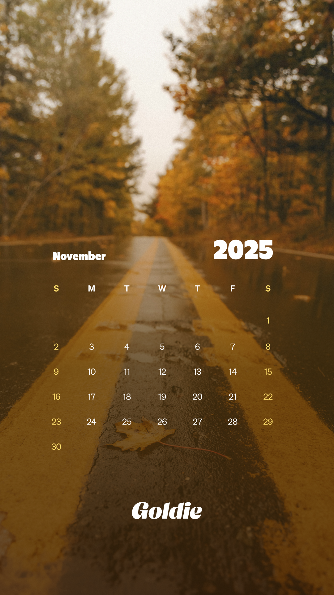 1080x1920 Free November 2025 Wallpaper Calendars