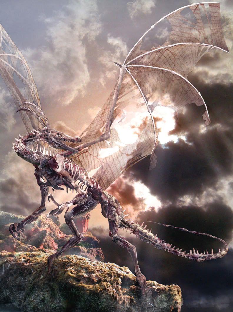 792x1058 Skeleton. Dragons. Skeletons and Imagination
