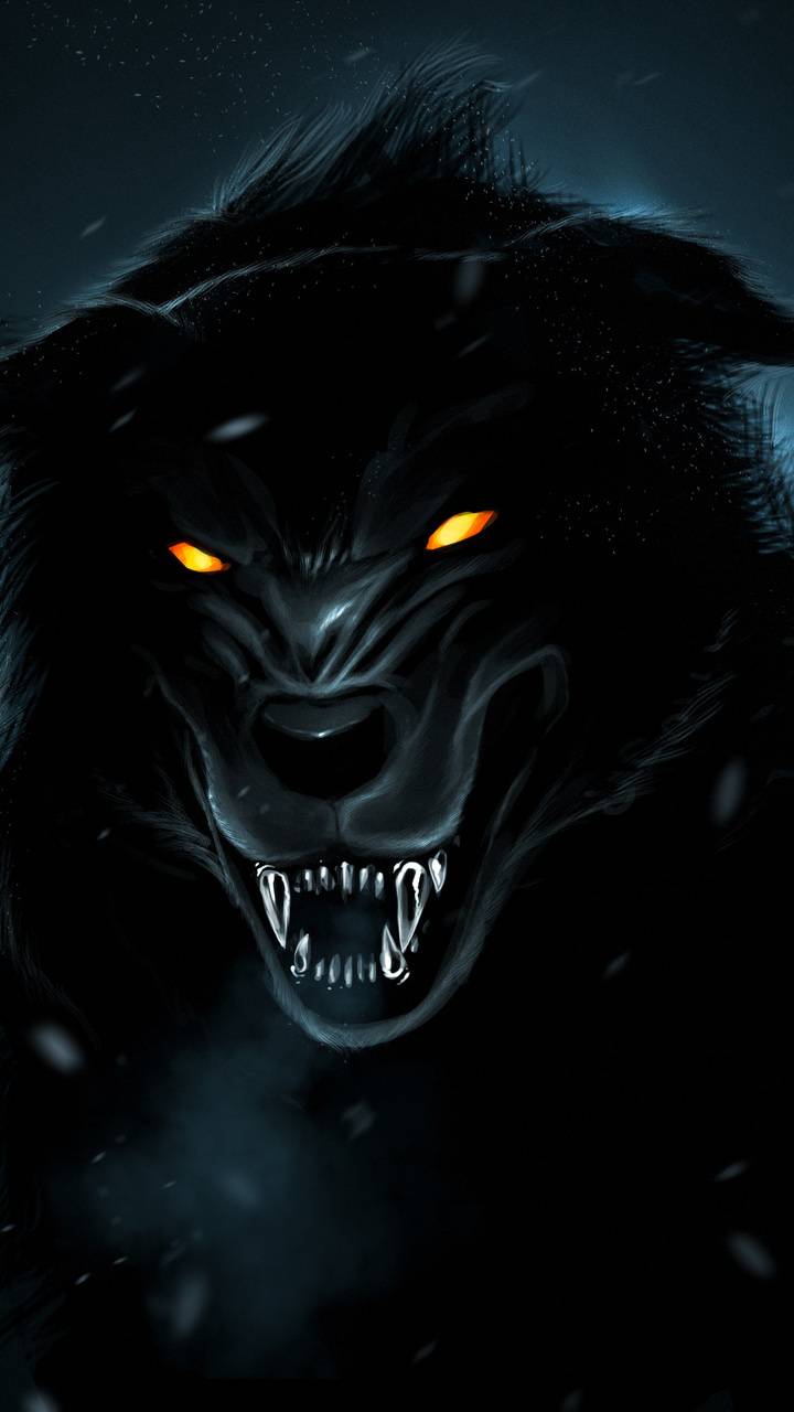 720x1280 Growling Black Wolf wallpaper